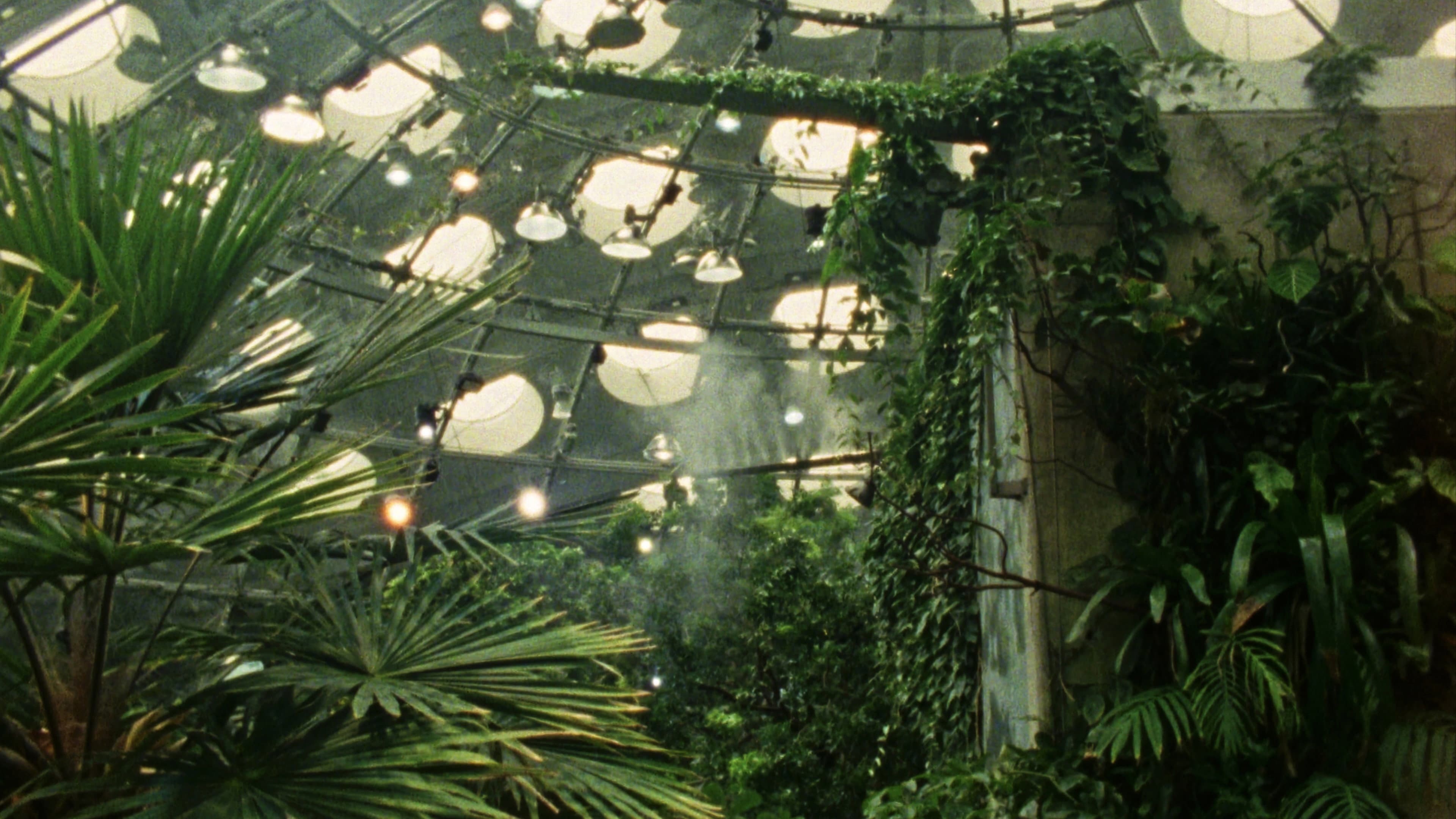 Fractais Tropicais