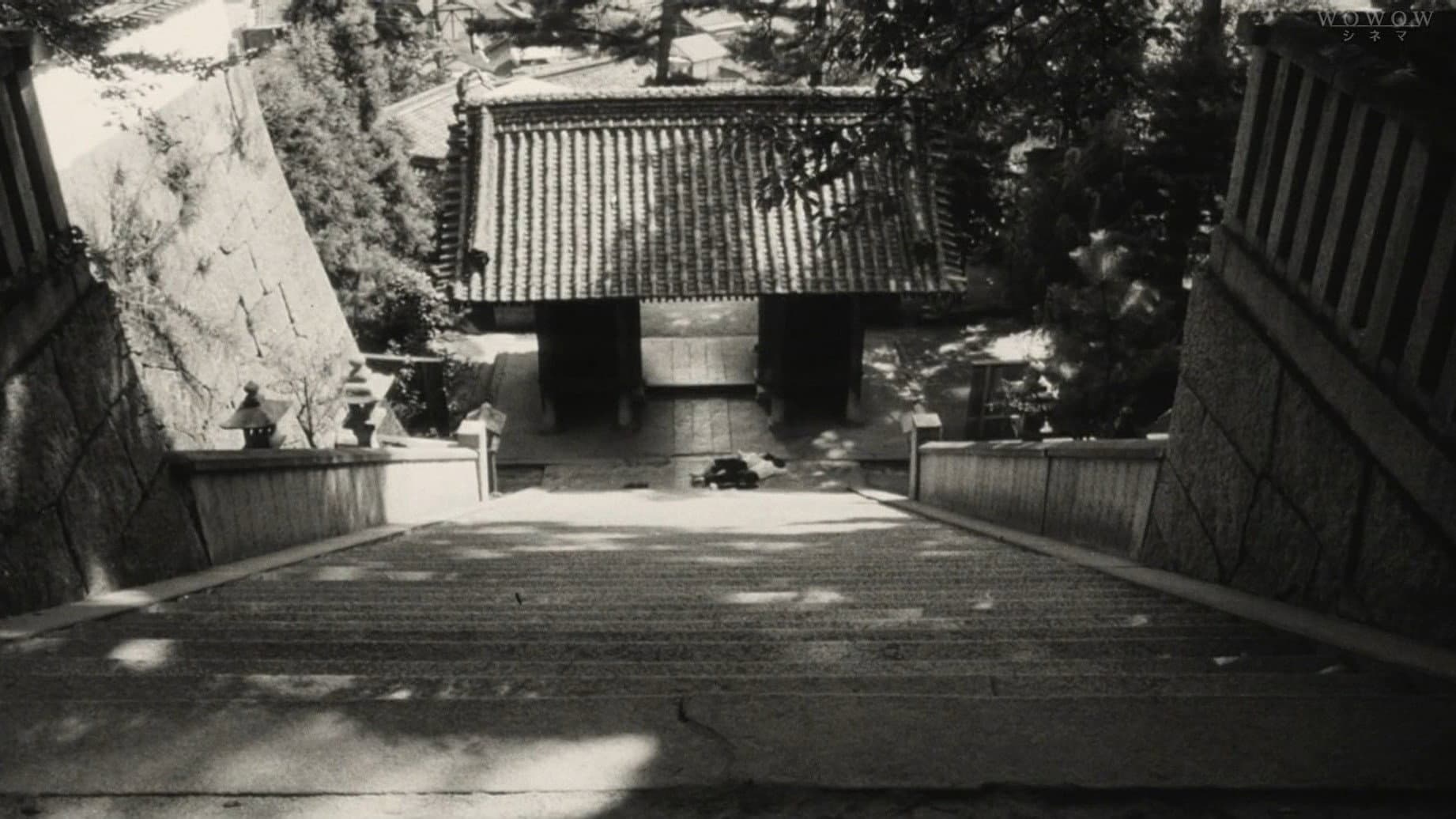 転校生