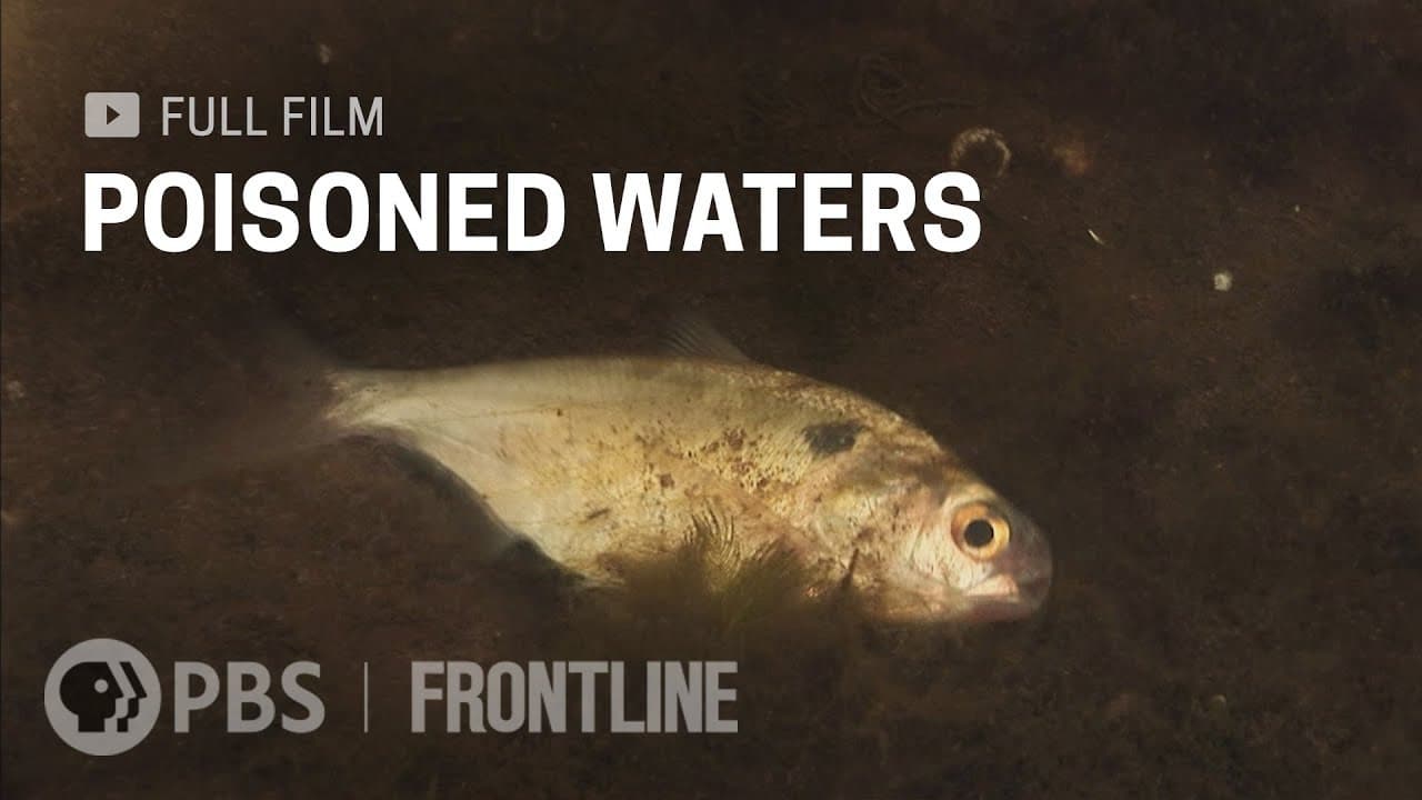 Poisoned Waters