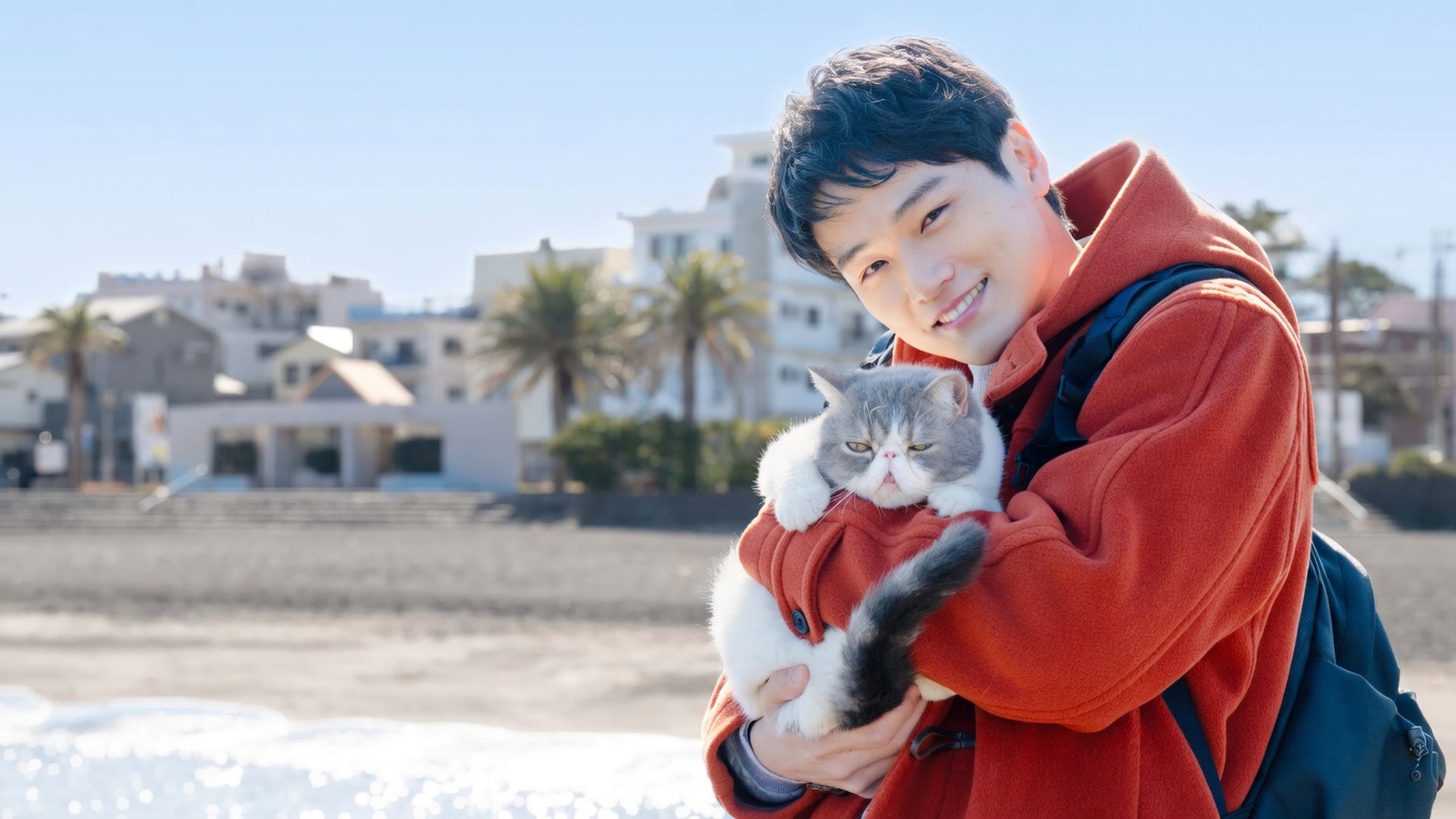 旅と僕と猫