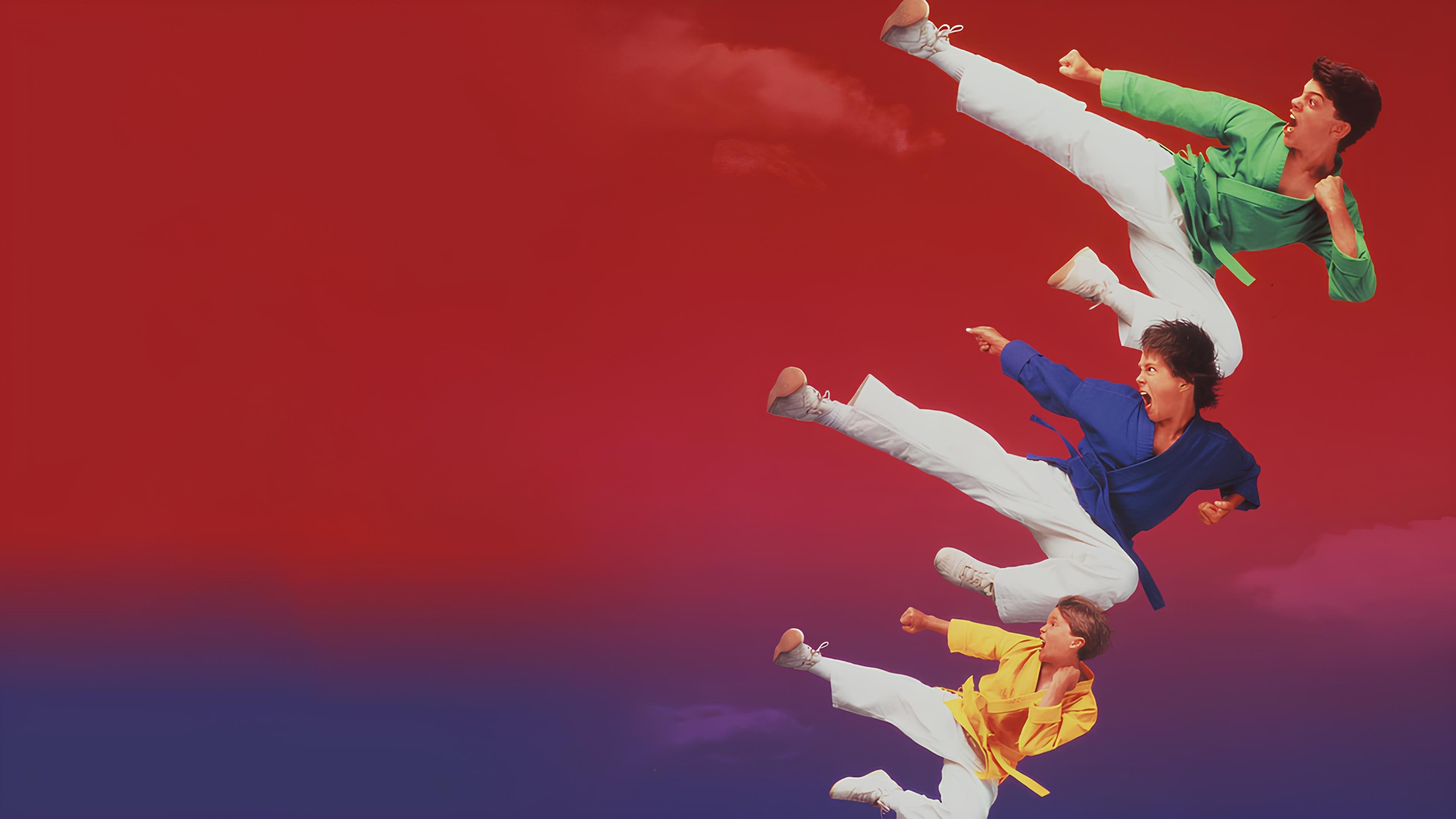 3 Ninjas al rescate