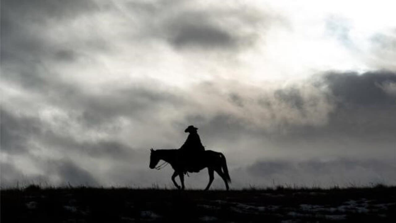Bring on the Dancing Horses