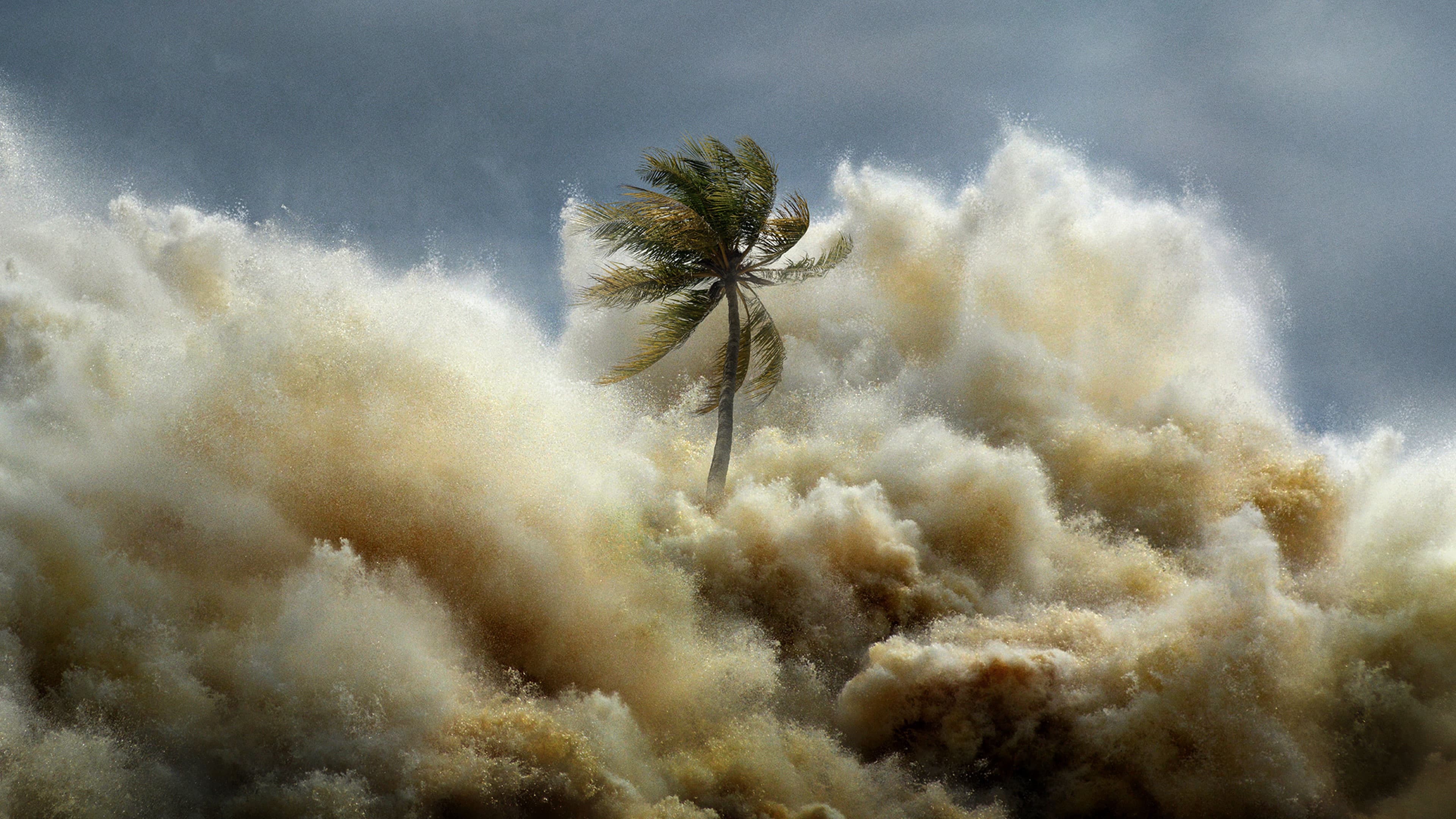 Tsunamis: Carrera contra el tiempo
