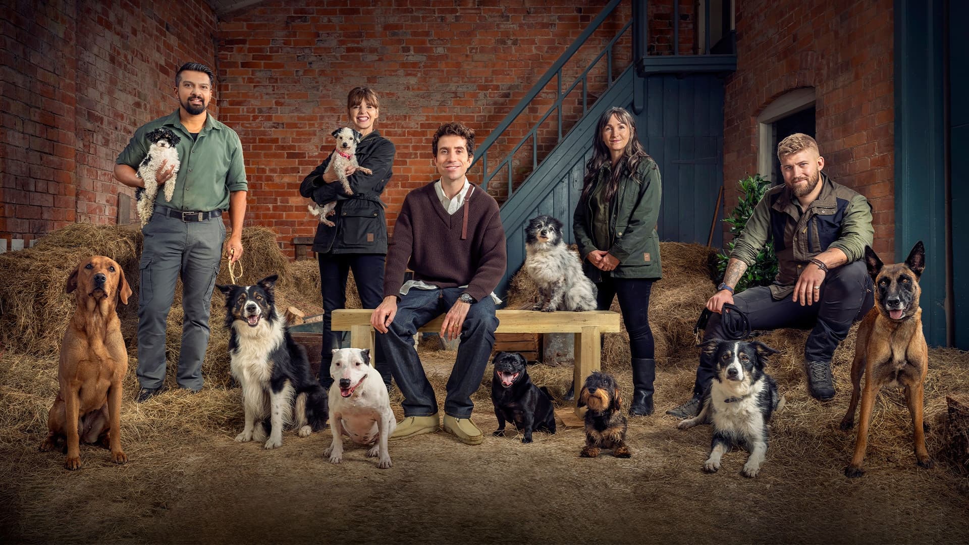 Bad Dog Academy