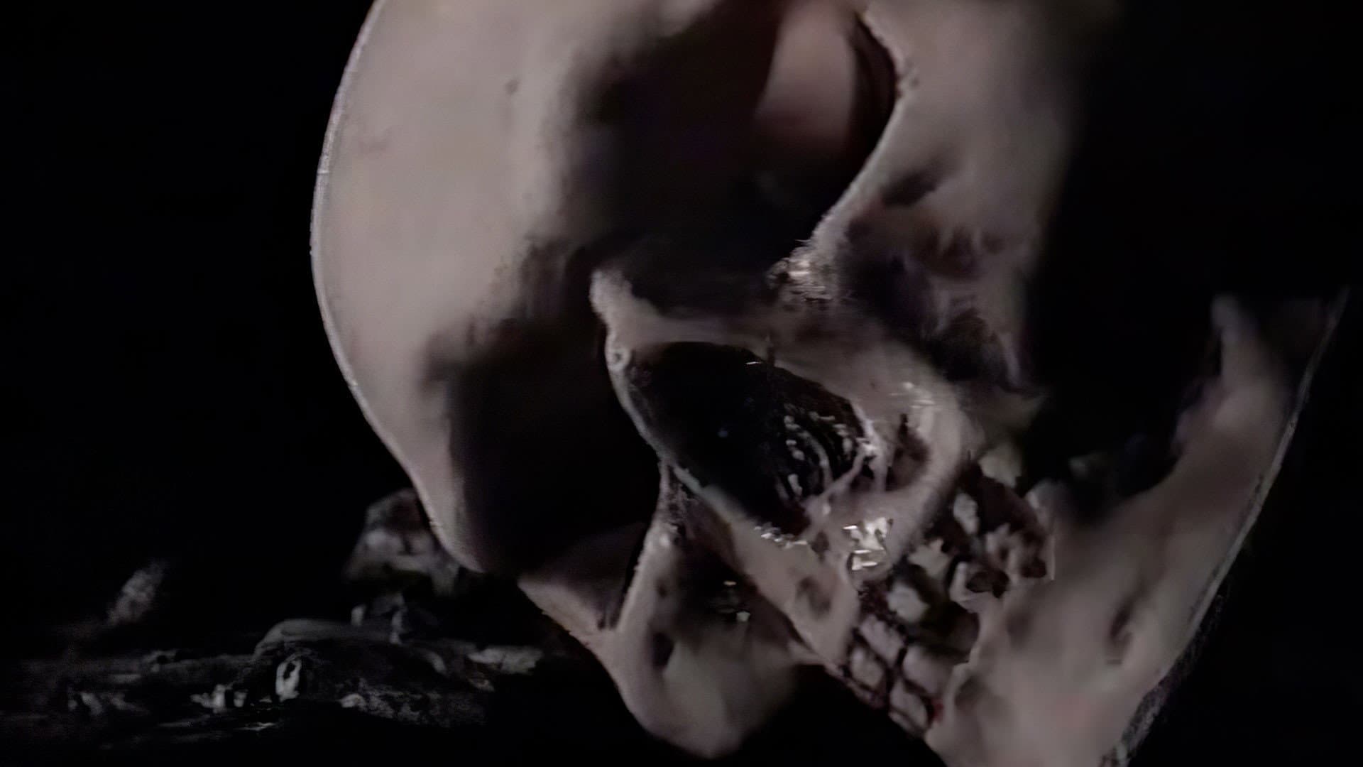Death ...is just the beginning - Collection