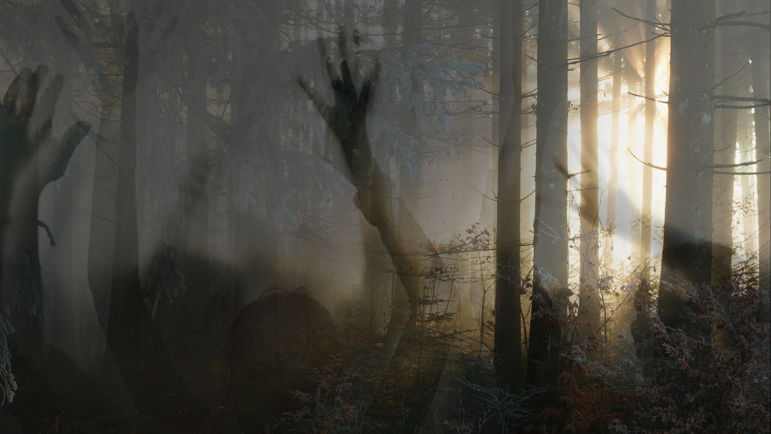 Encuentros paranormales