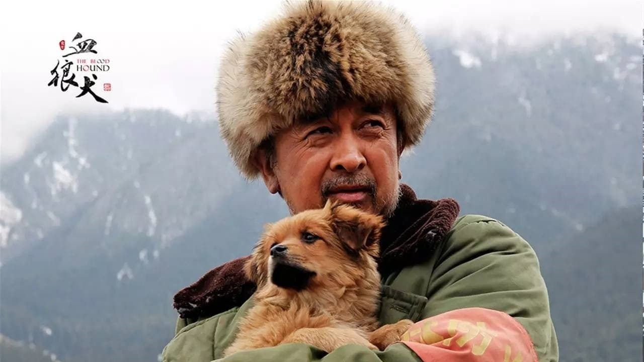 血狼犬