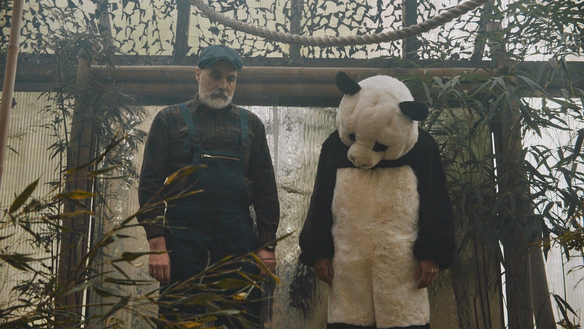 Von Friesen und Pandabären