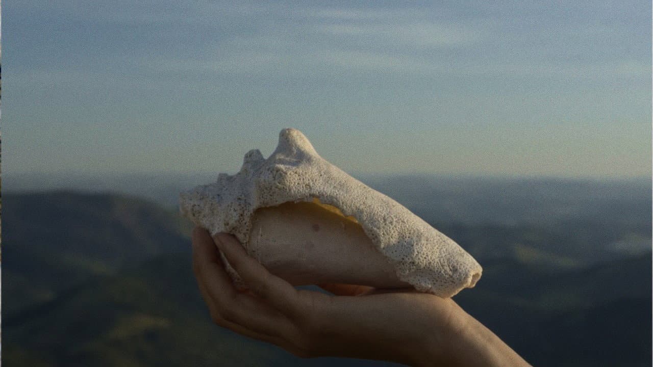 El silencio del hierro