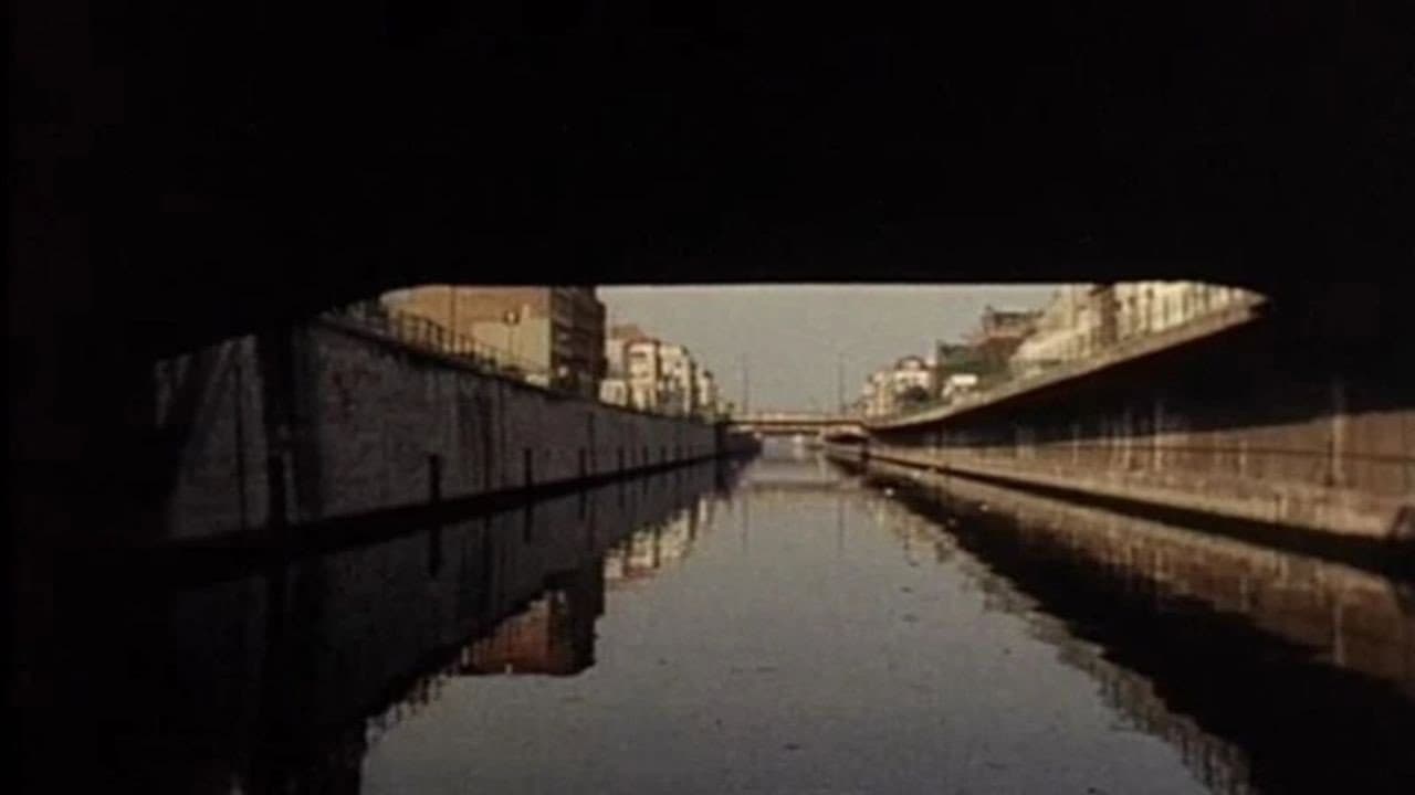 Les rives du fleuve