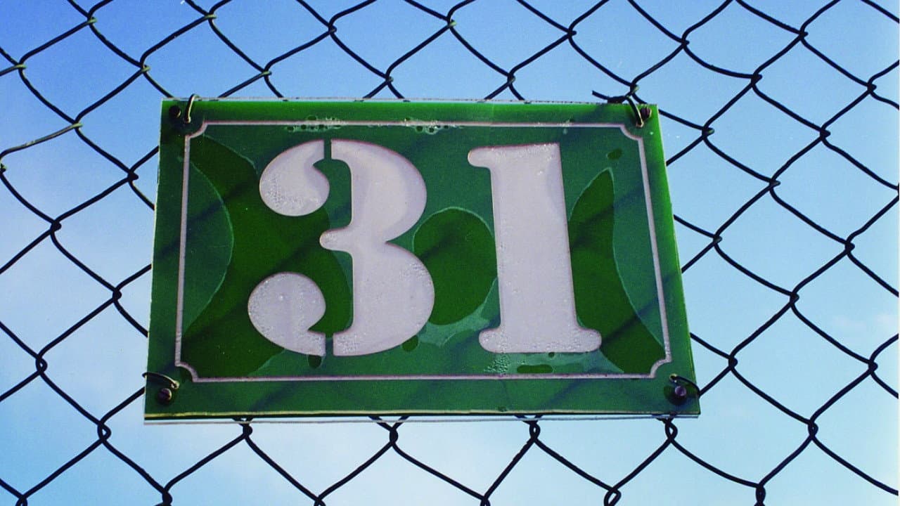 31