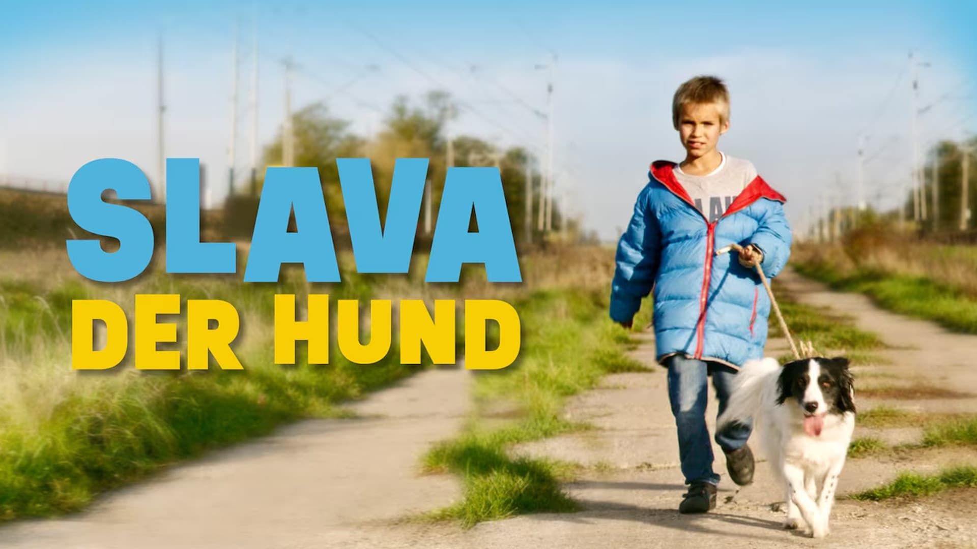 Slava, der Hund