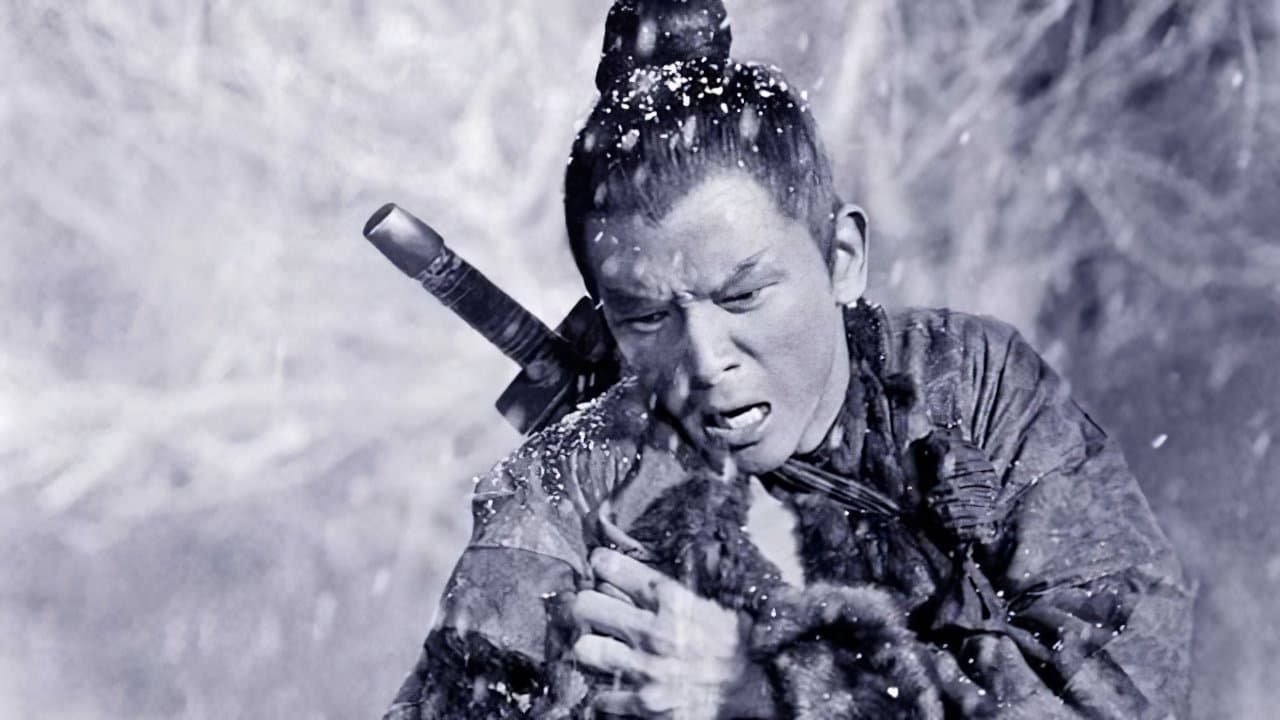 The One-Armed Swordsman Collection