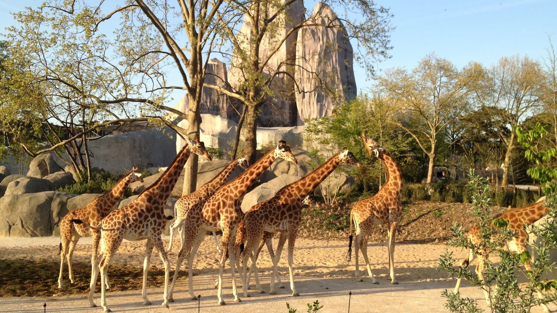 Un zoo à Paris