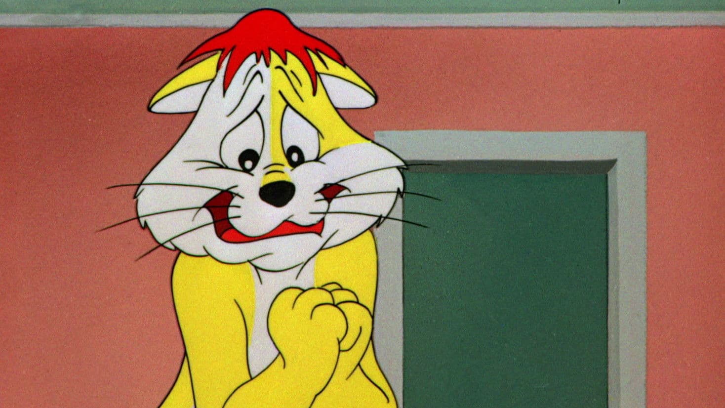 Gato hipocondríaco