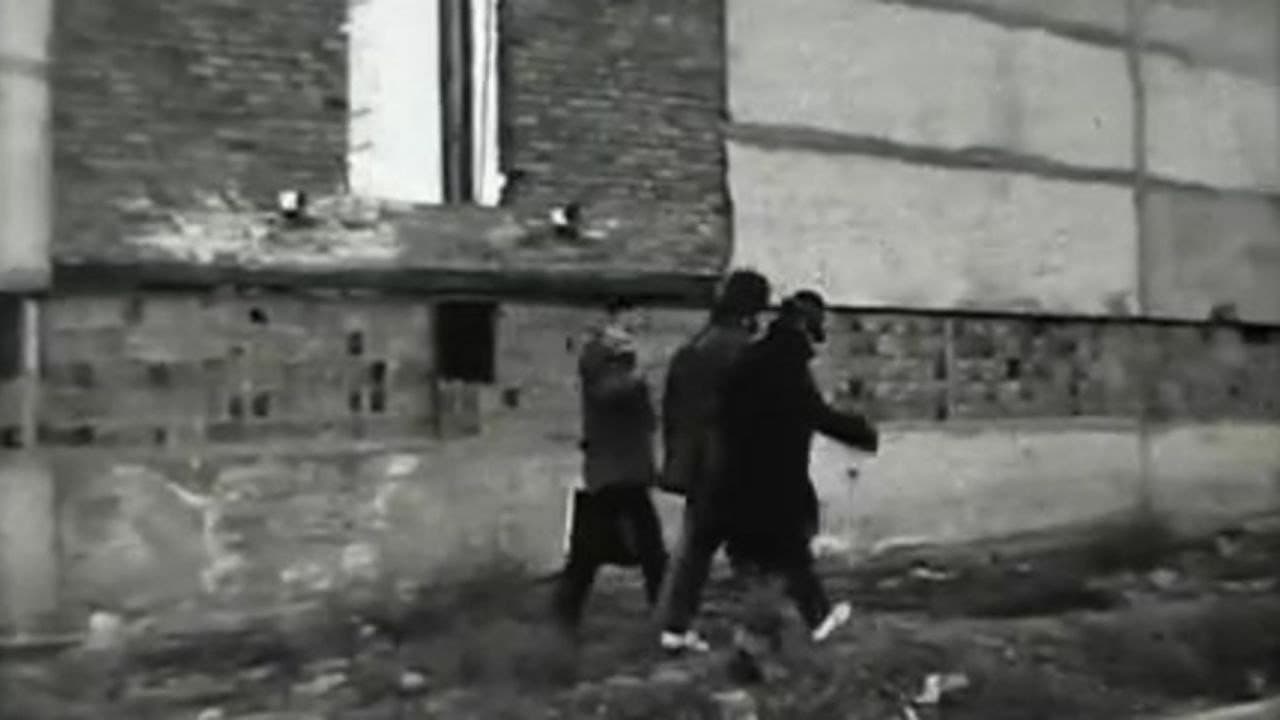 Провинциальная жизнь