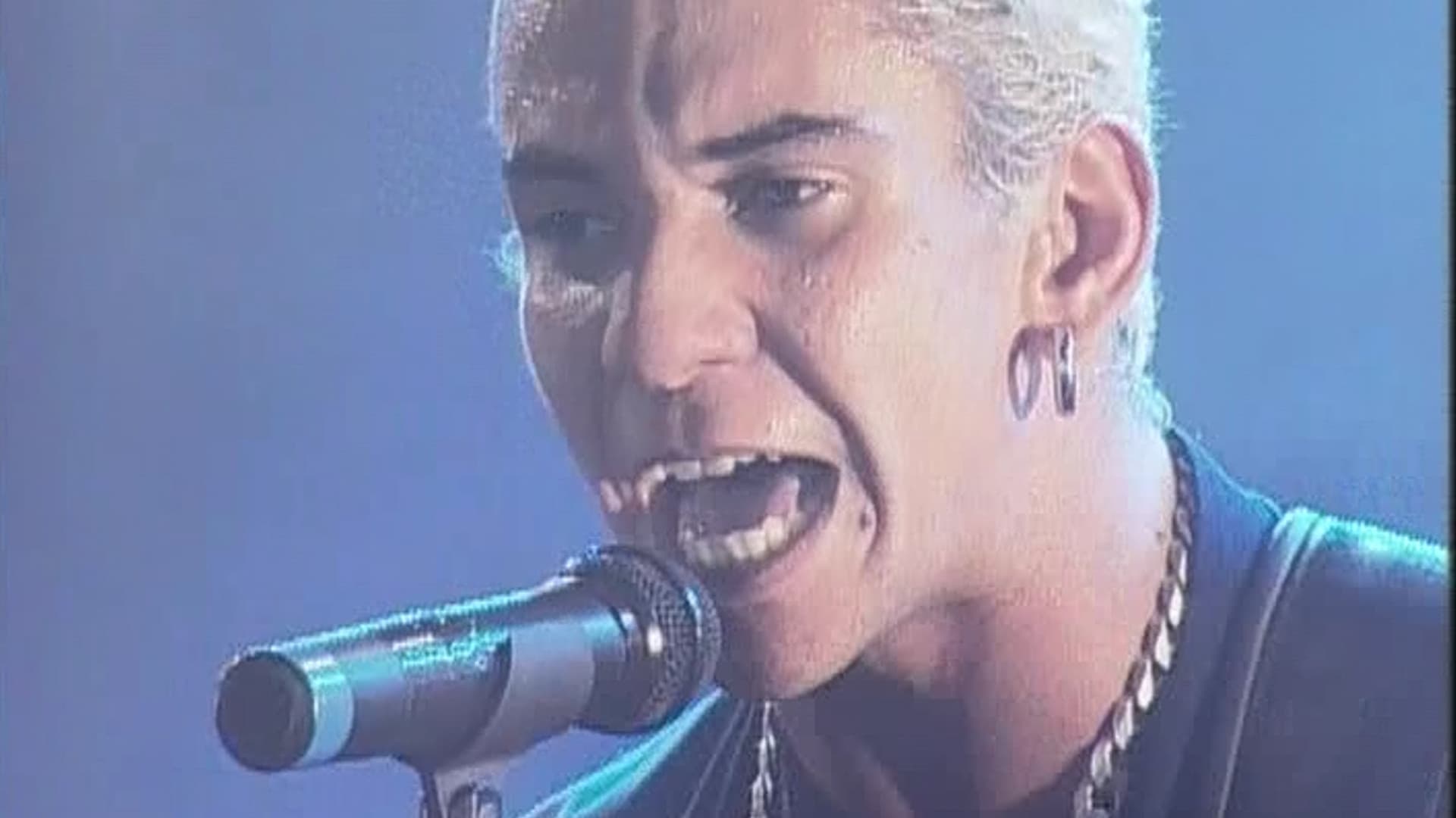 MTV ao Vivo: Raimundos