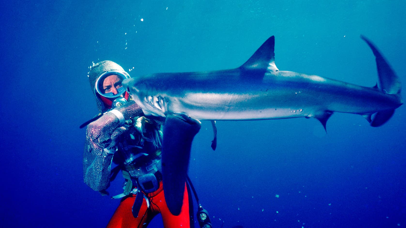 Jugando con tiburones