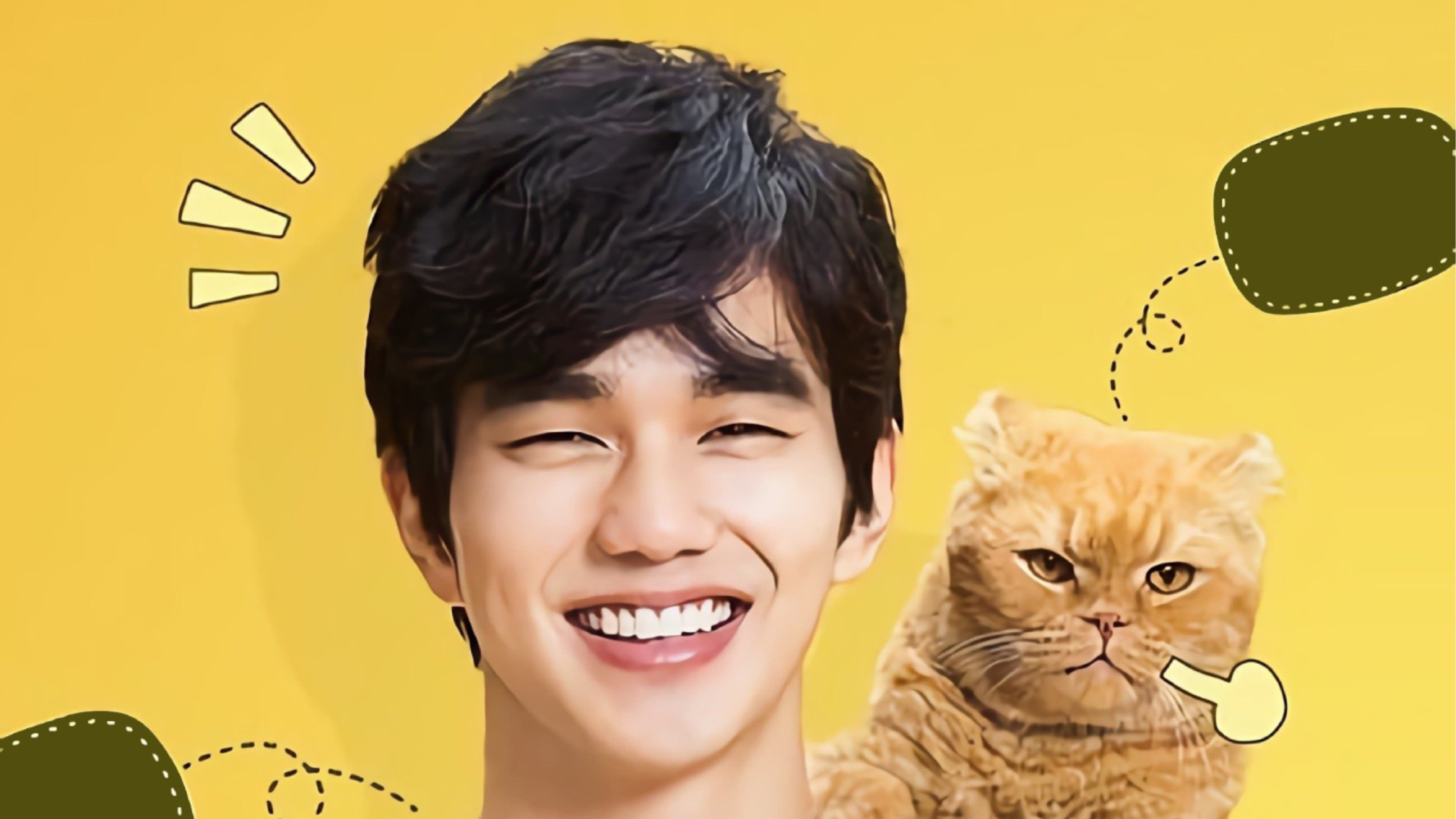 상상고양이