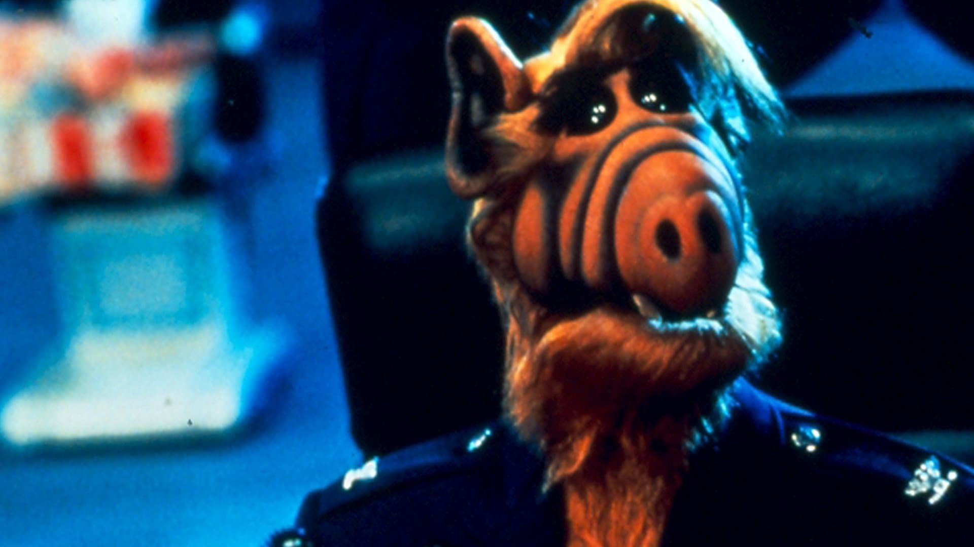 Proyecto ALF