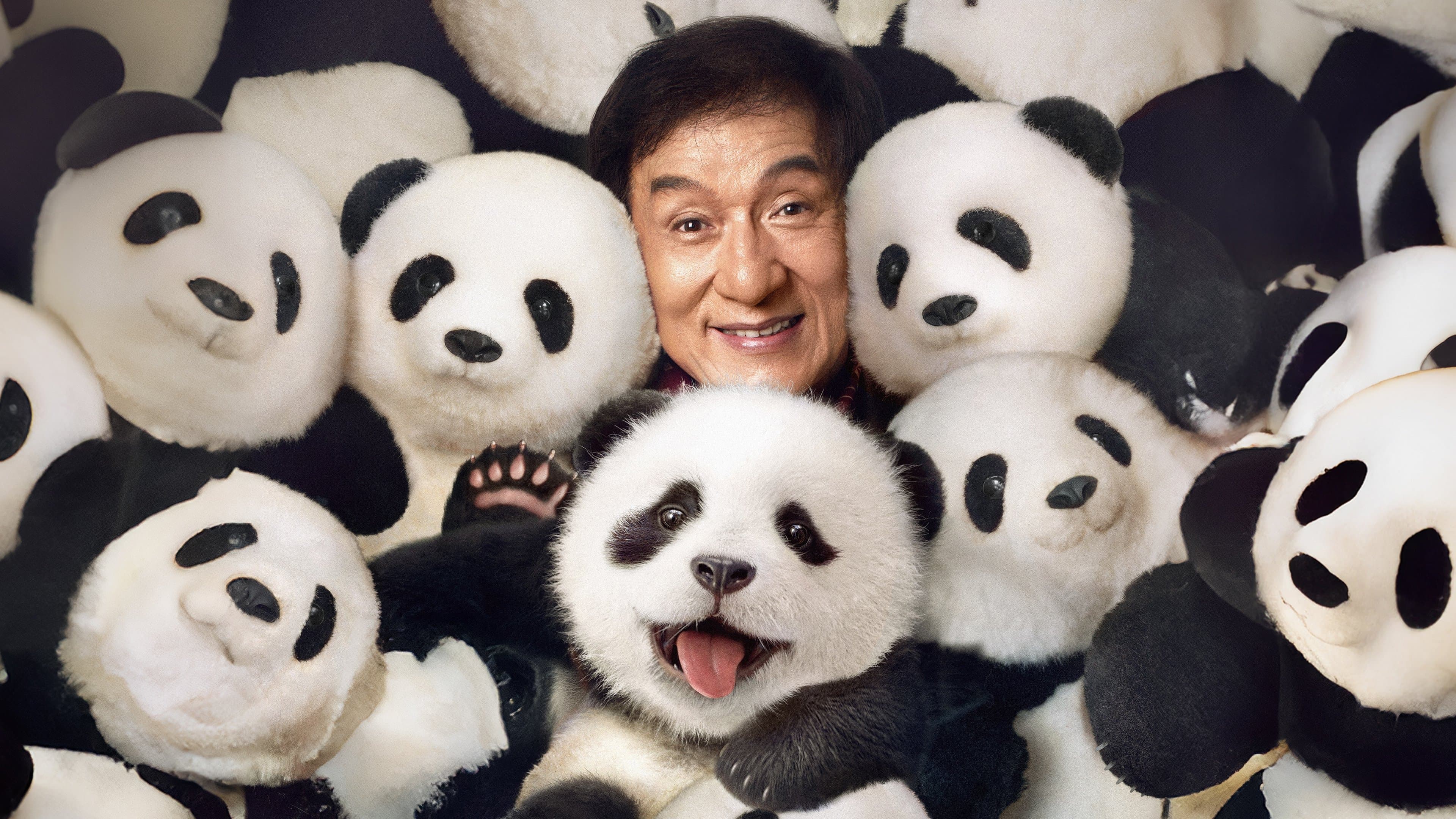 熊猫计划（系列）
