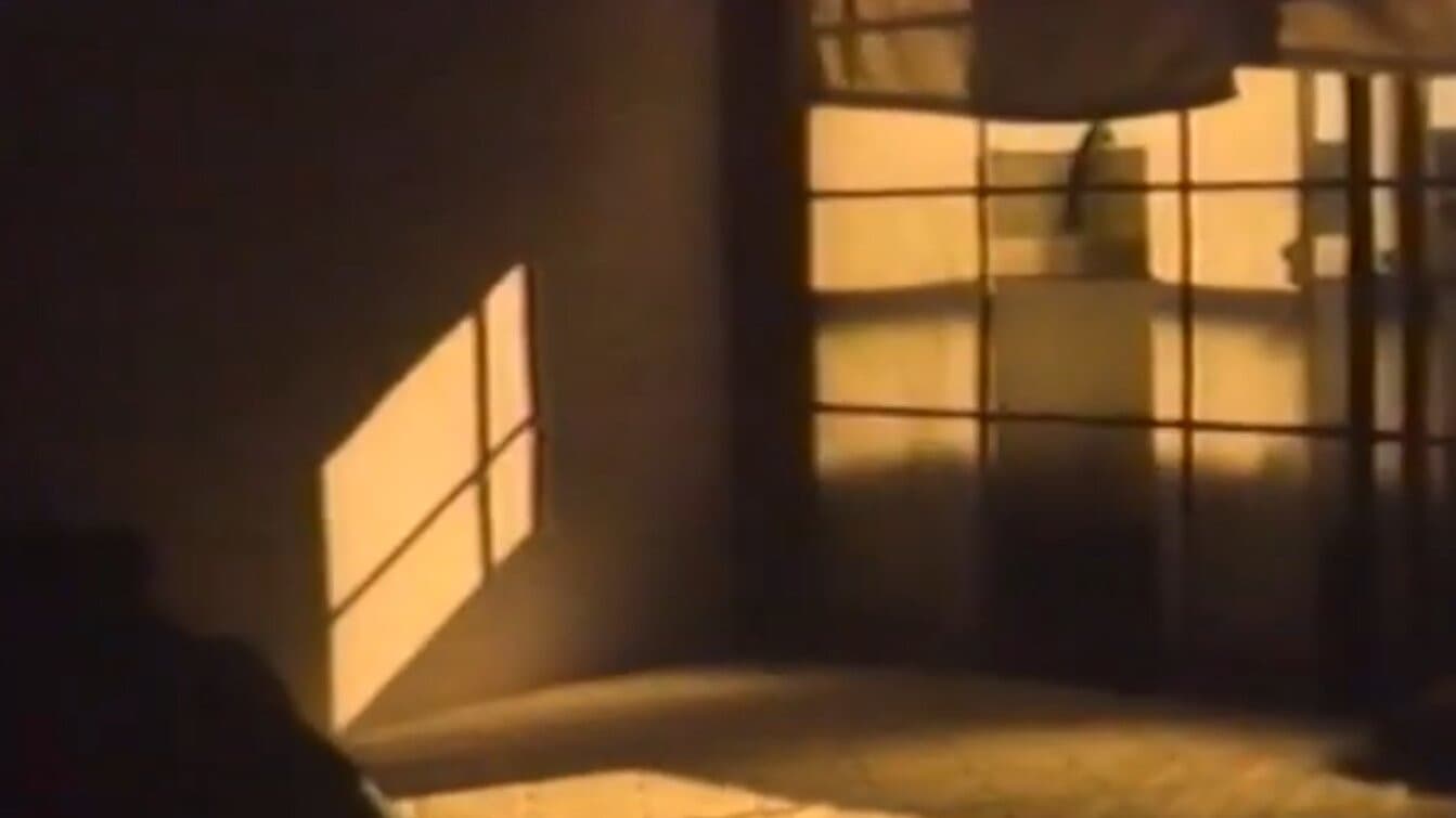 ノーザンライツ