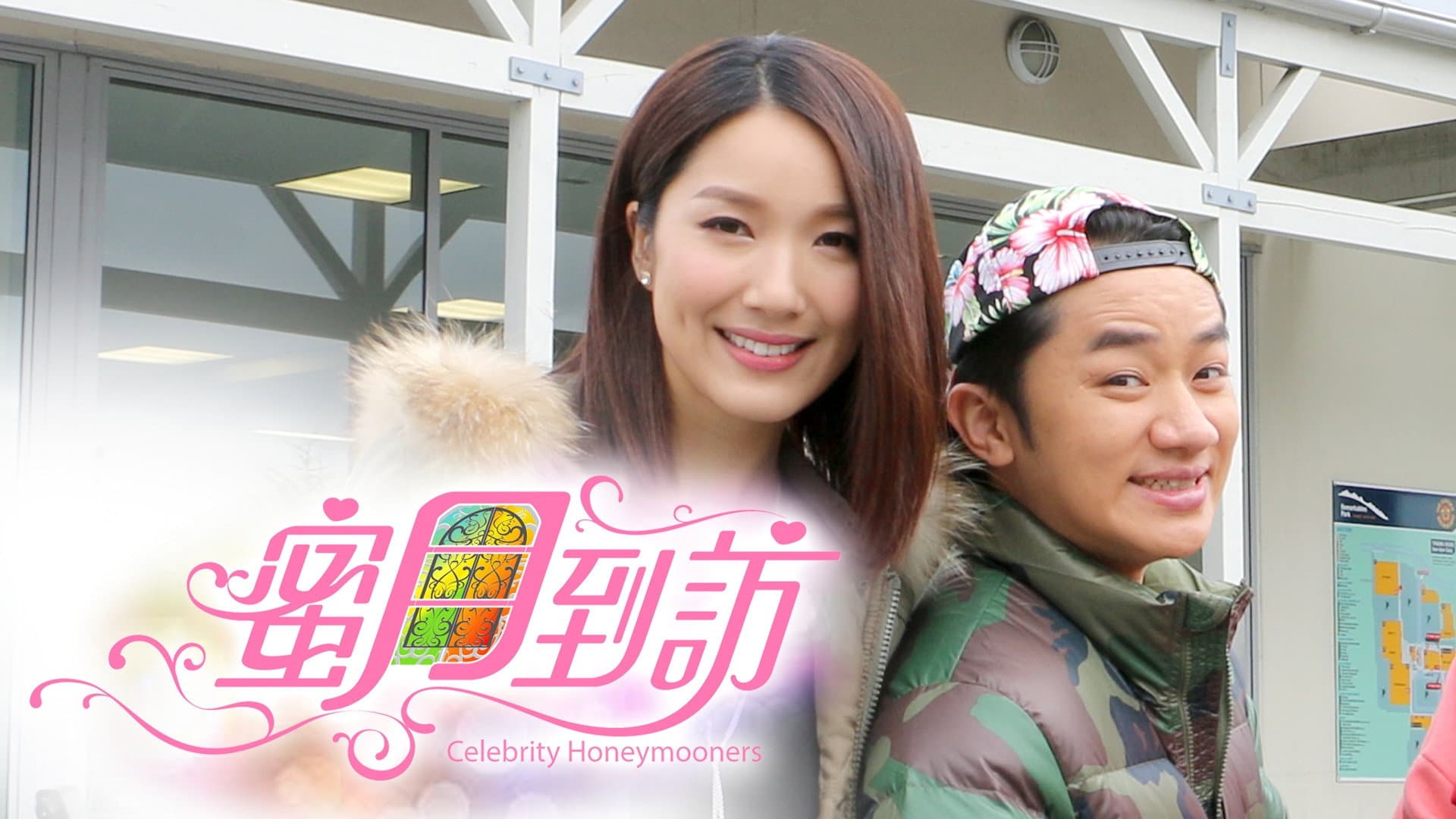 蜜月到訪