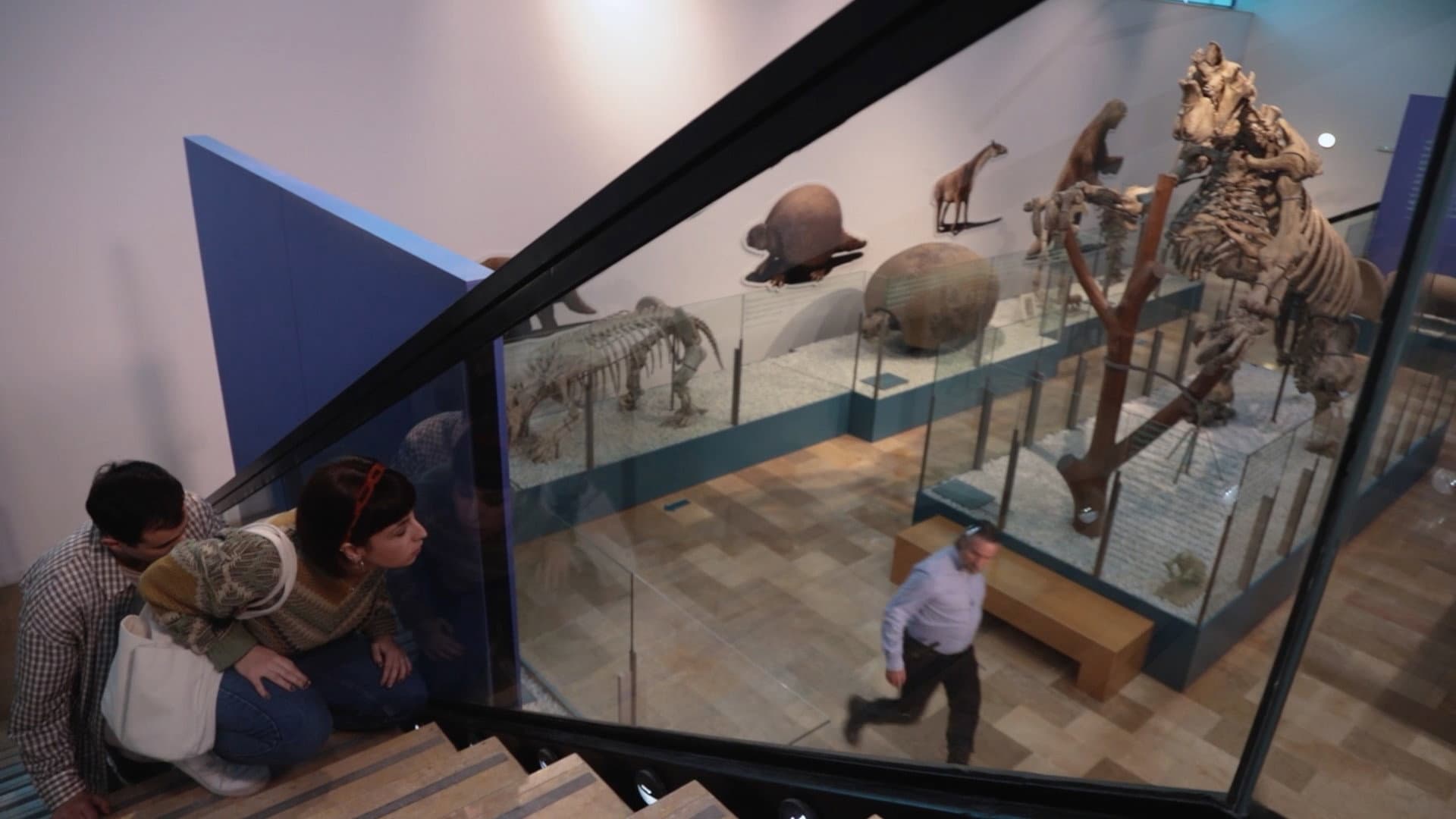 El Museo
