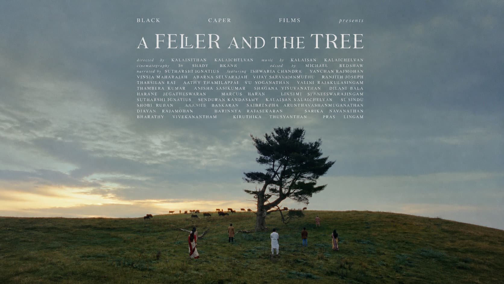 A Feller and the Tree