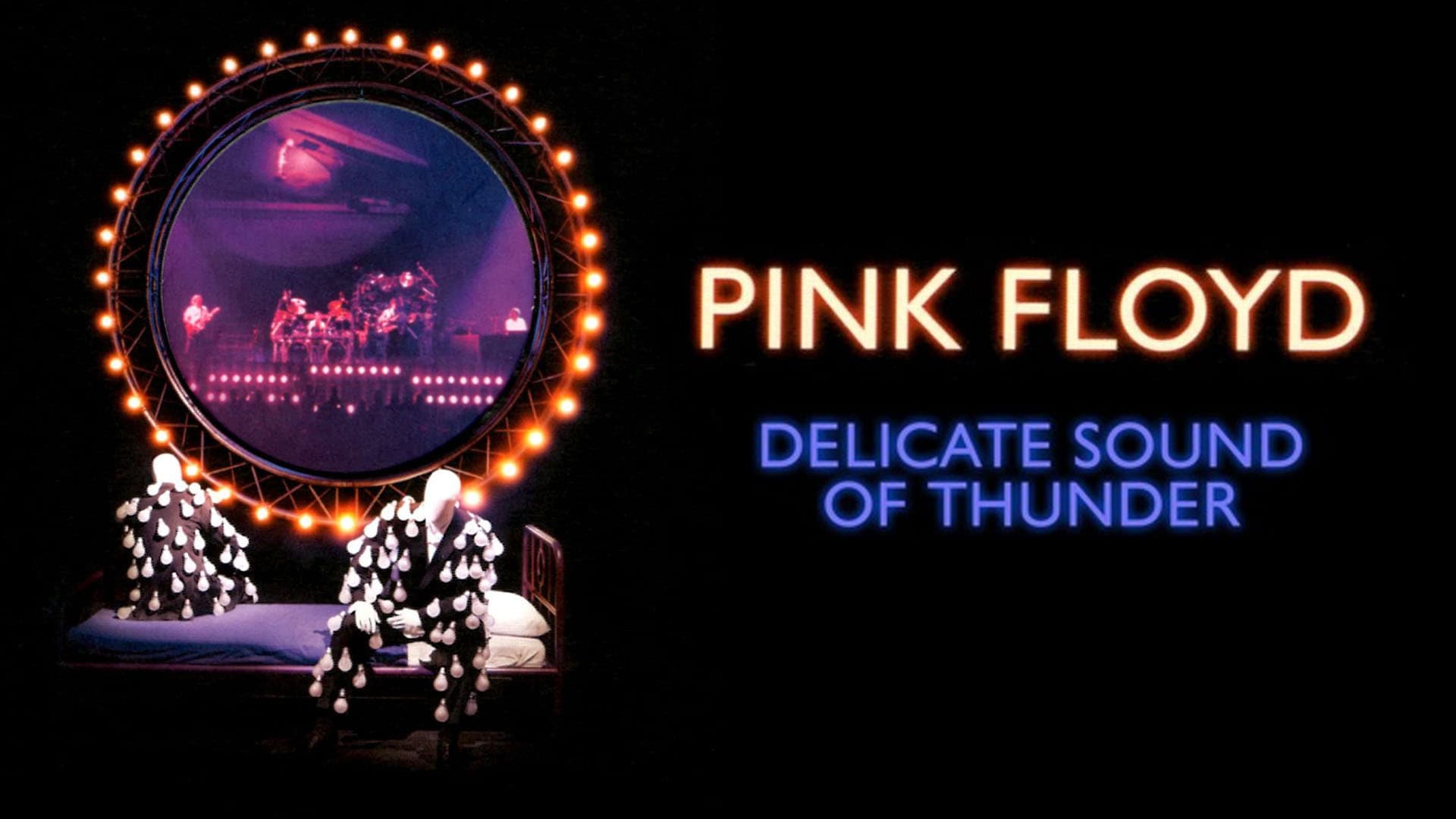 Pink Floyd: The Later Years, Vol 2 - Delicate Sound of Thunder