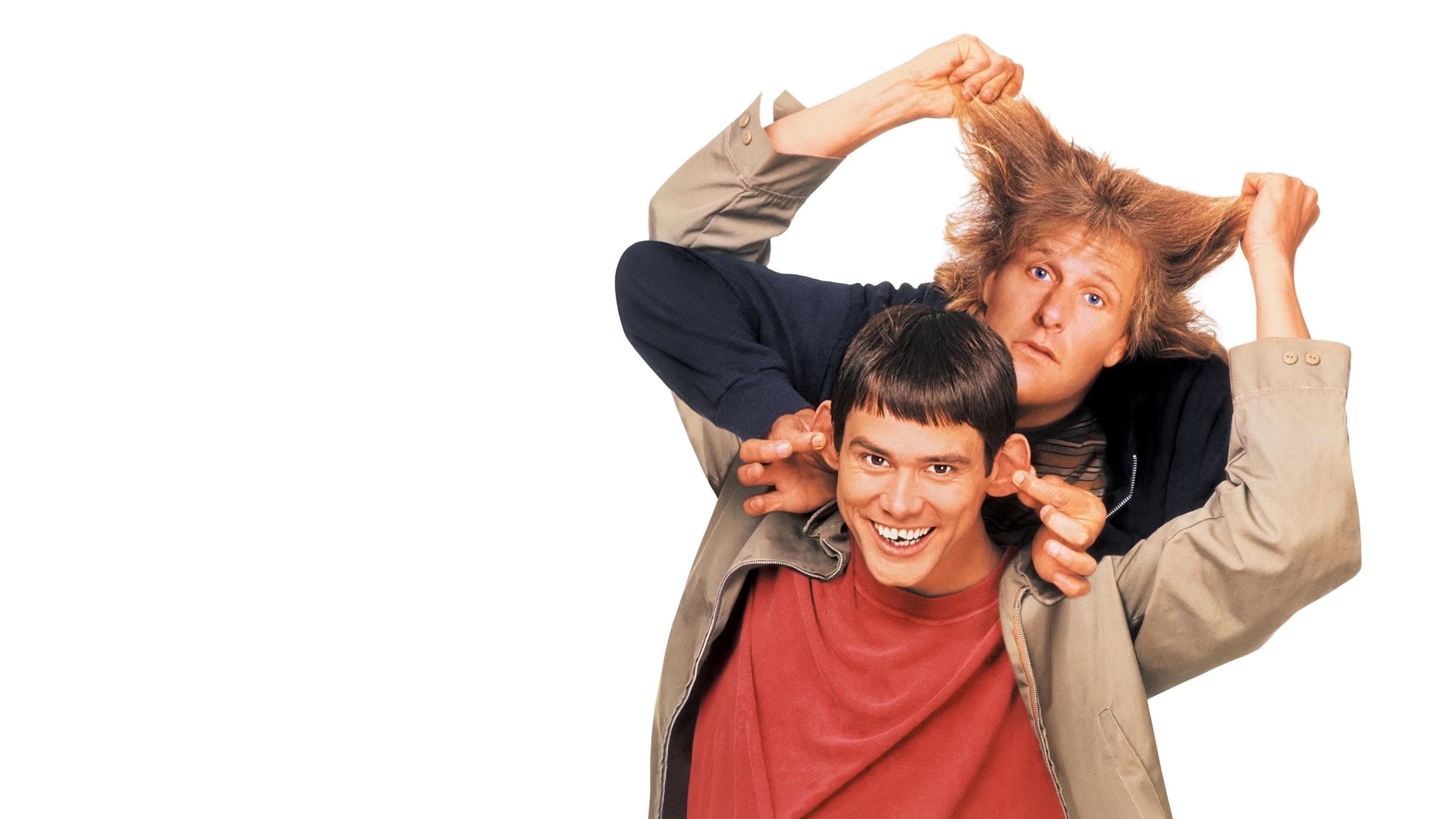 Una pareja de idiotas - Colección