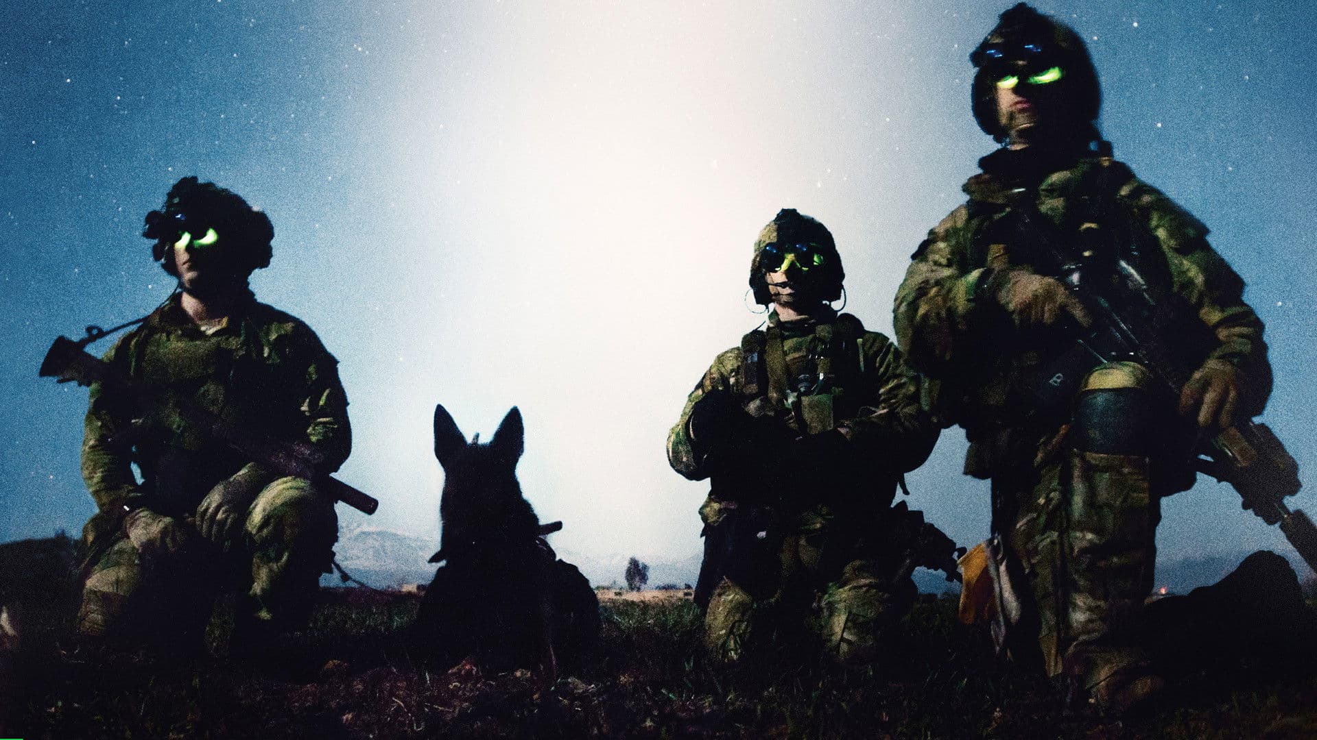 War Dog: El Mejor Amigo De Un Soldado