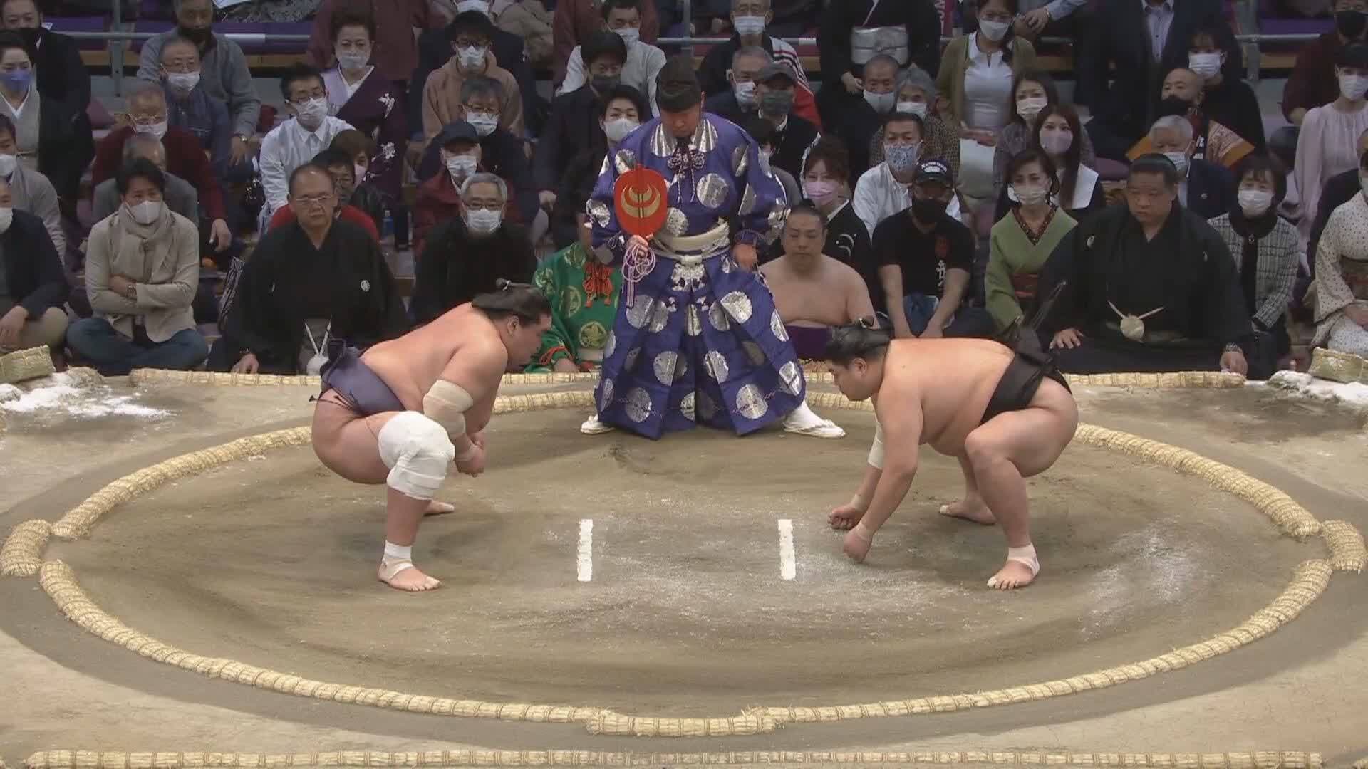 大相撲どすこい研
