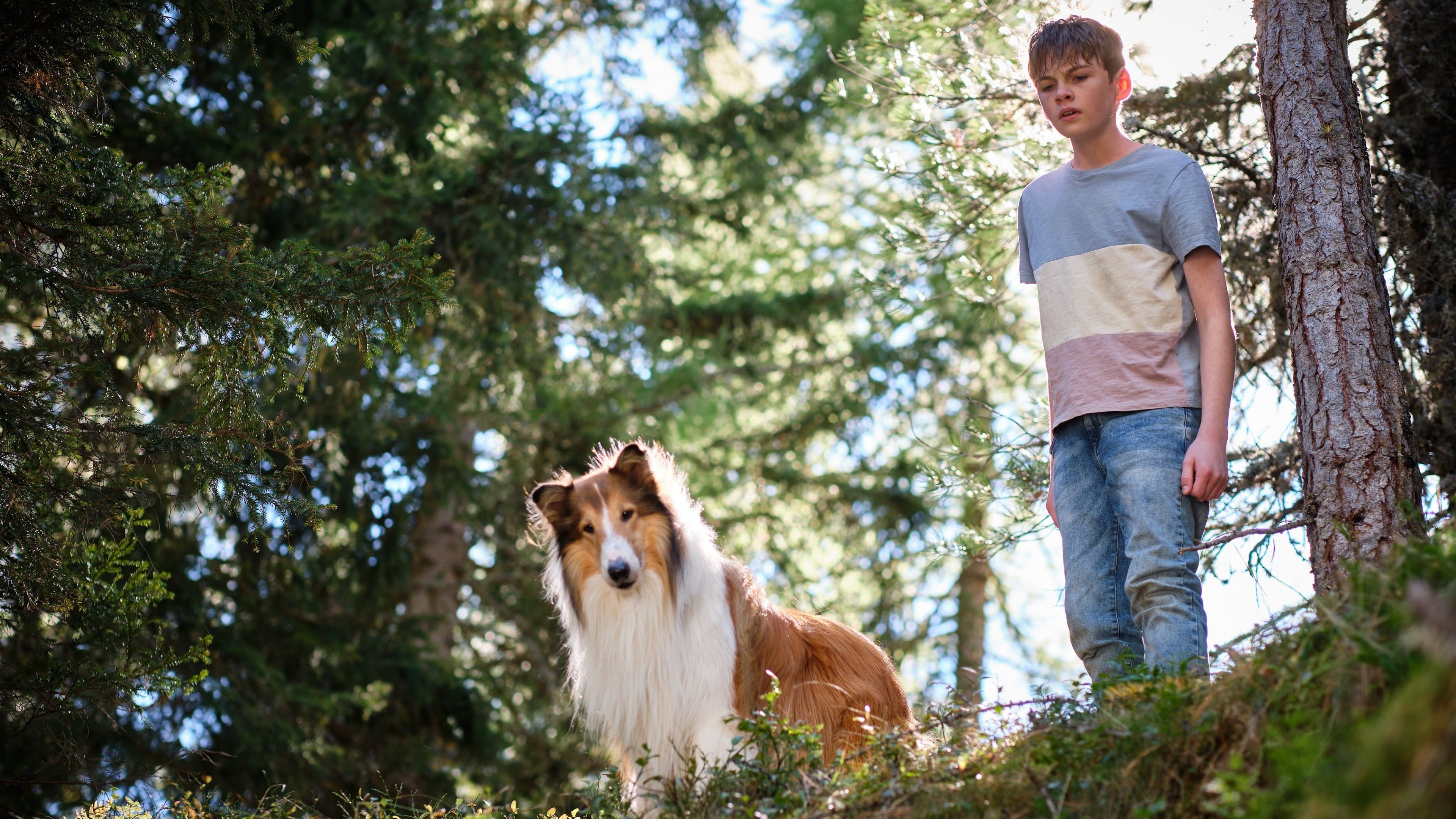 Lassie: Una nueva aventura