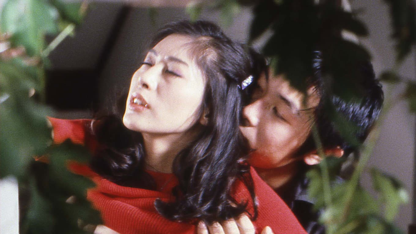 美姉妹　犯す