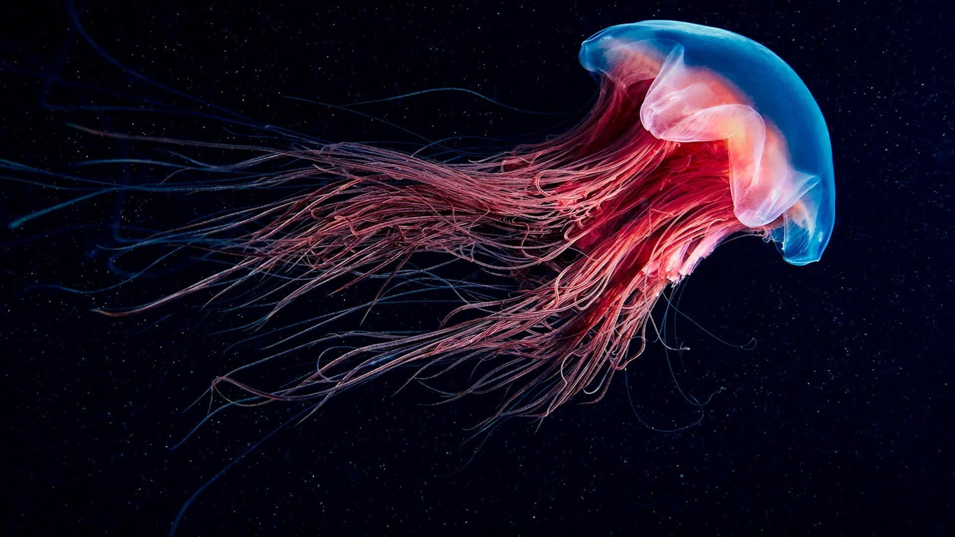 La vie en fluo