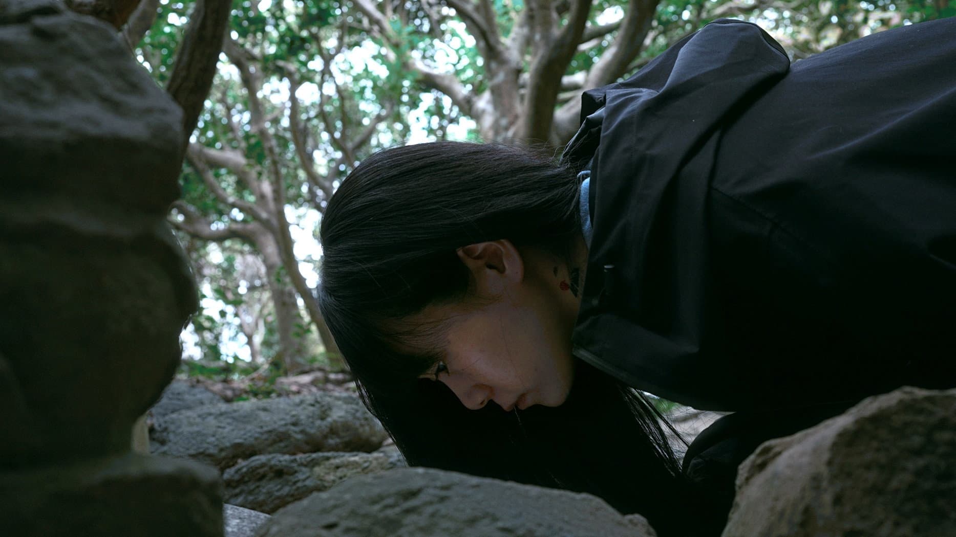 椰子の高さ