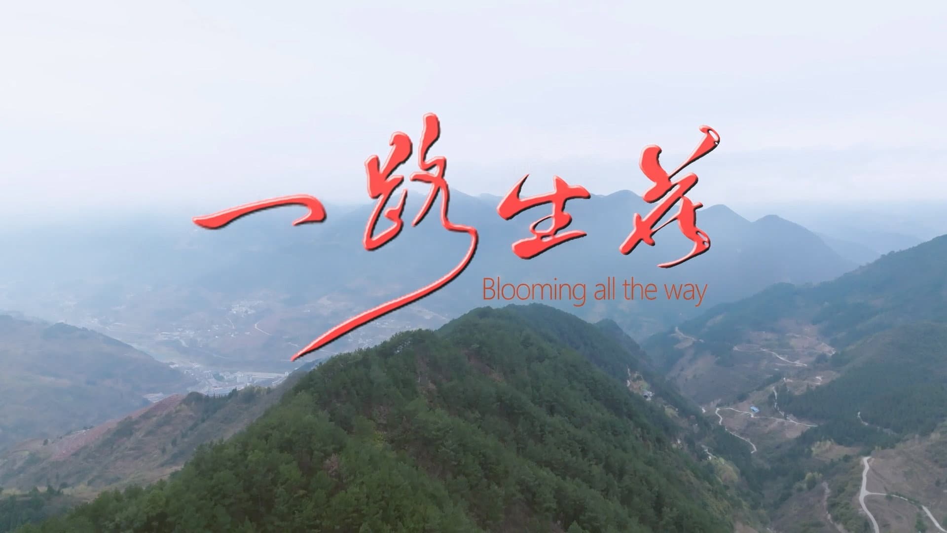 一路生花