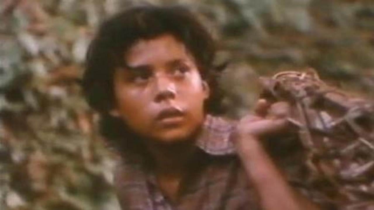 Alsino y el cóndor
