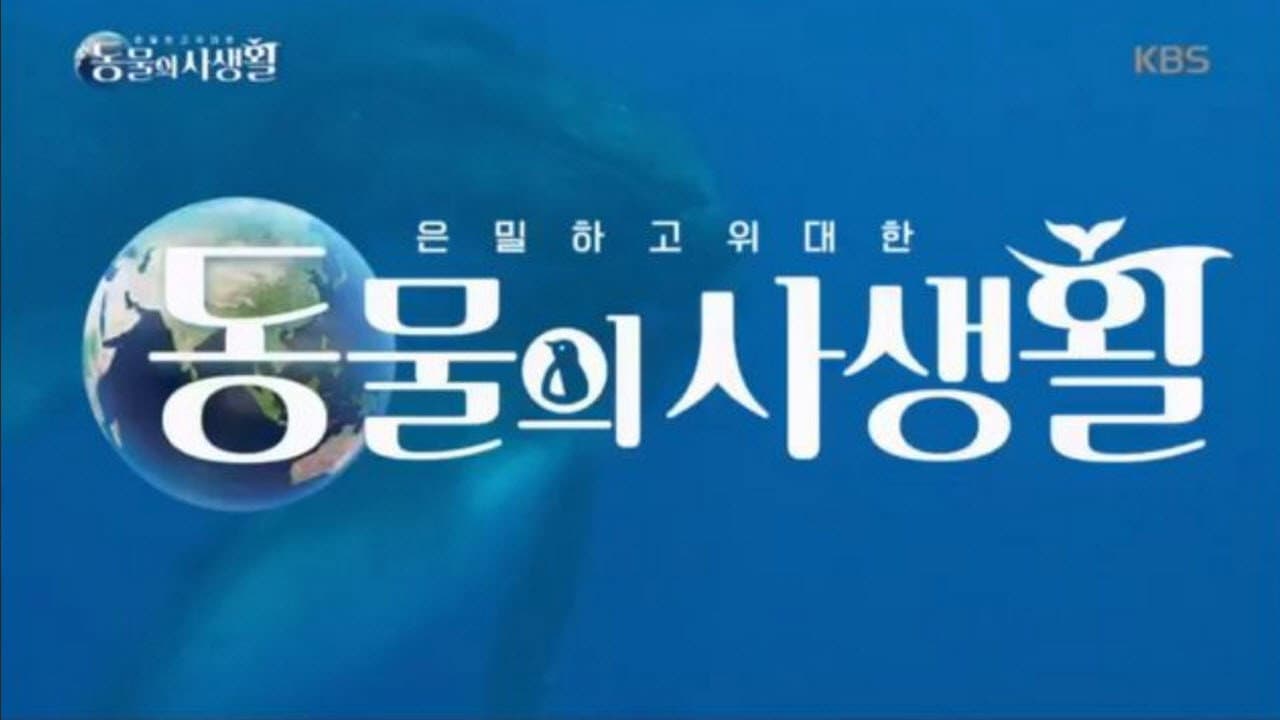 은밀하고 위대한 동물의 사생활