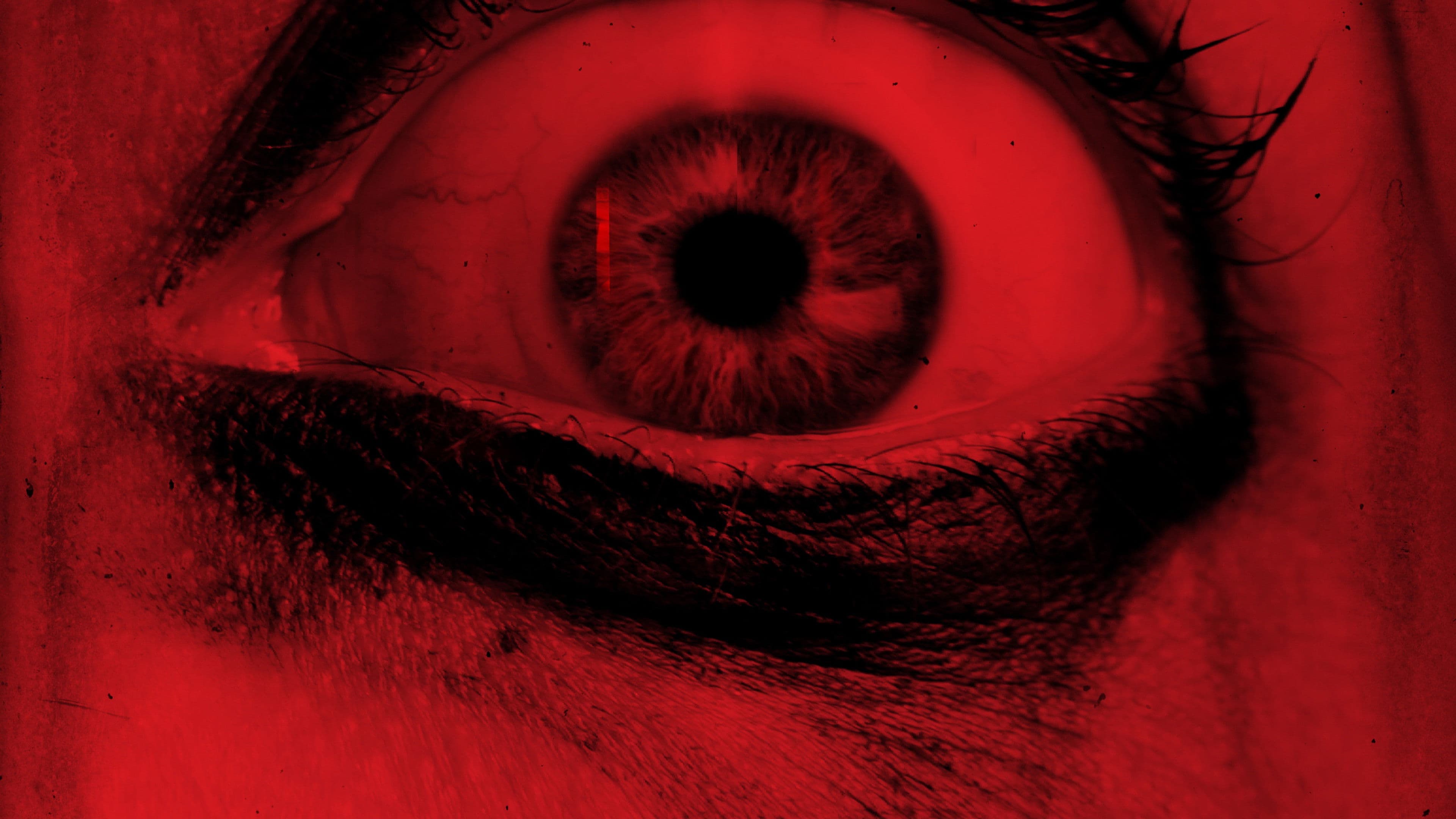 Terror entre Cuatro Paredes