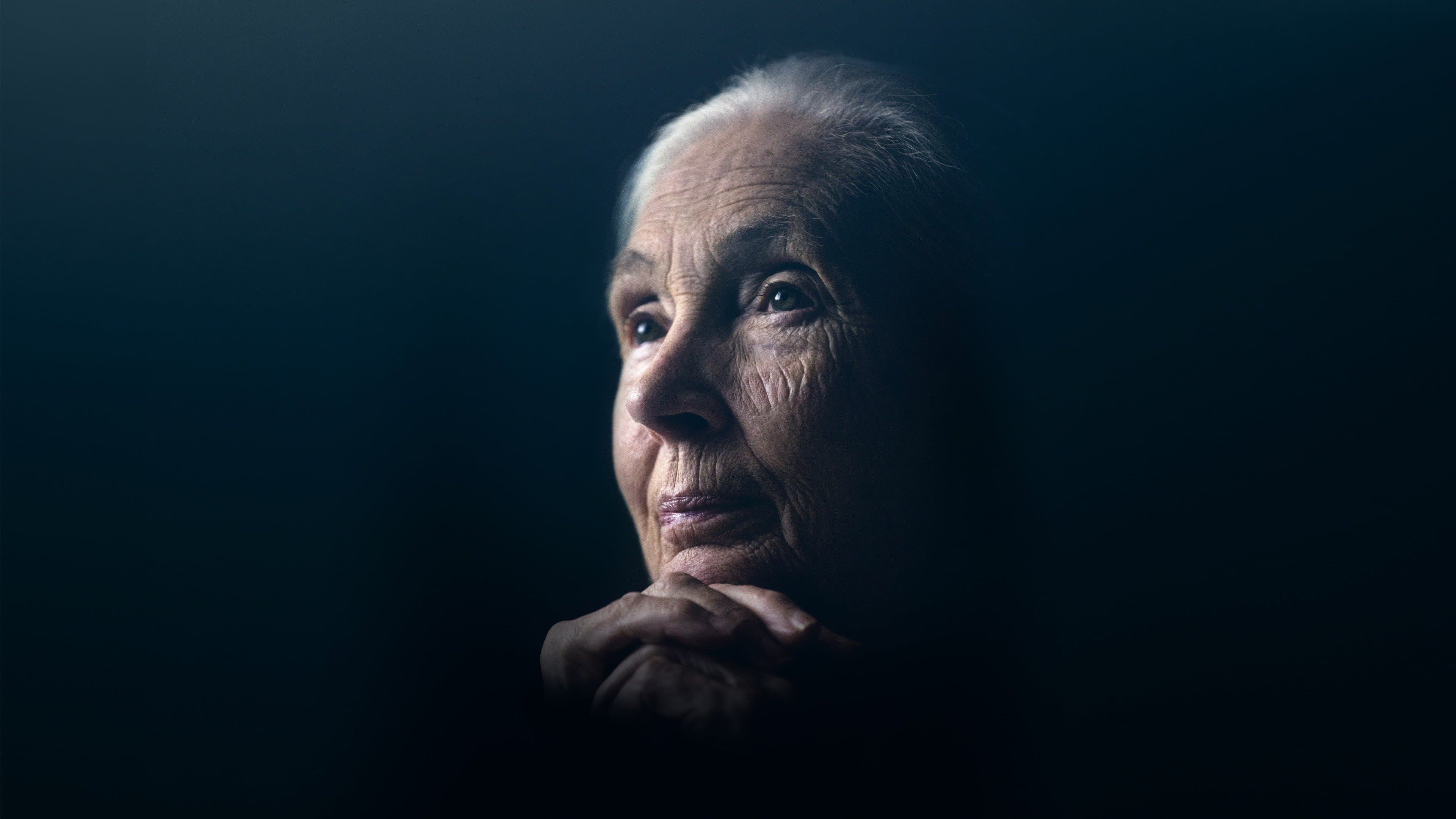 Jane: el legado