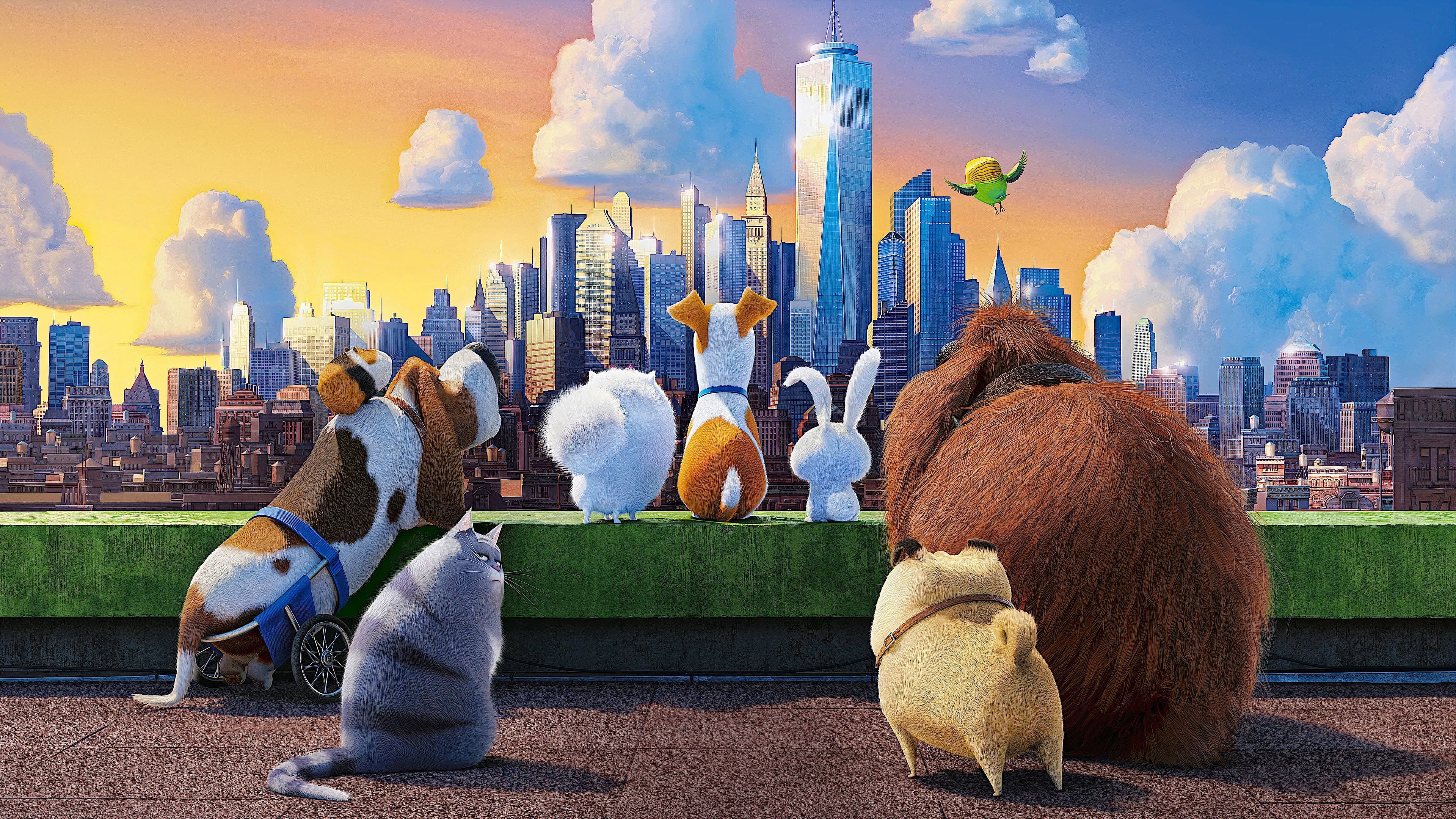 La vida secreta de tus mascotas - Colección