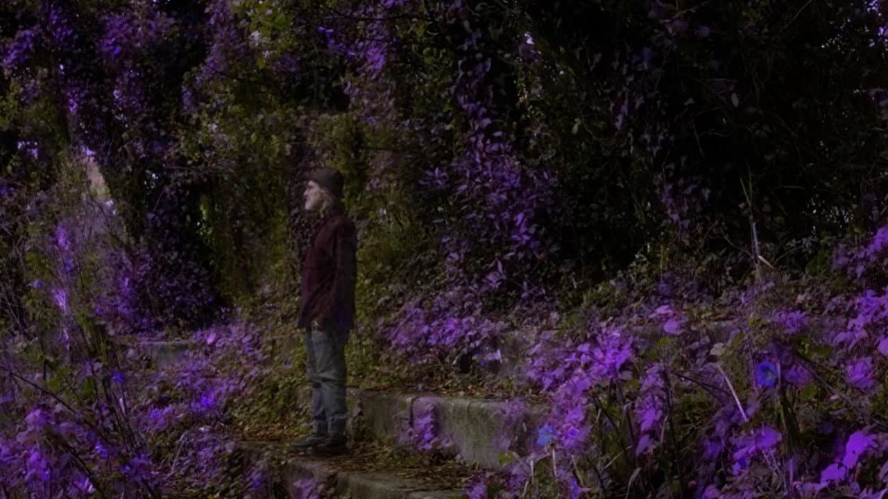 Ultravioleta