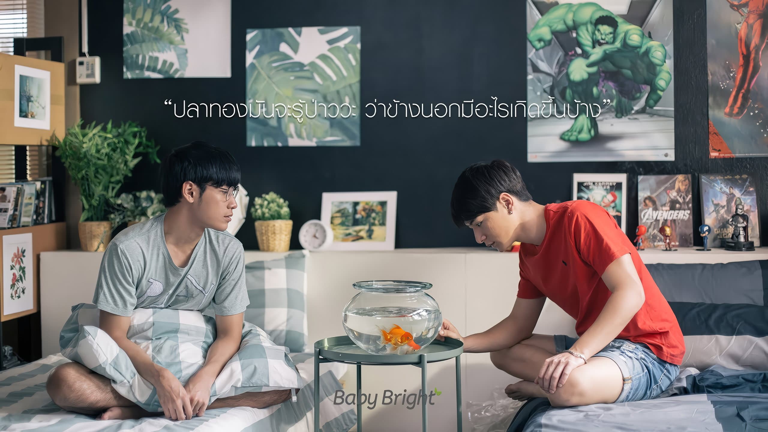 Baby Bright: Krist-Singto Collection