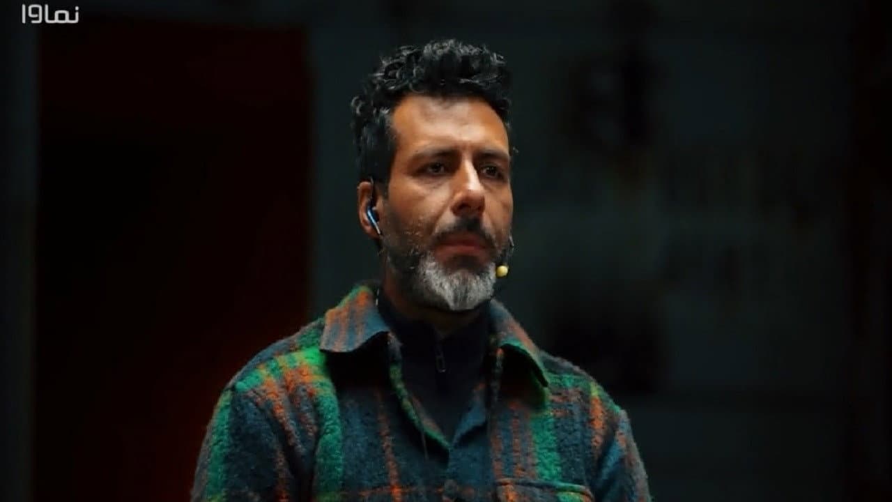 رینگو