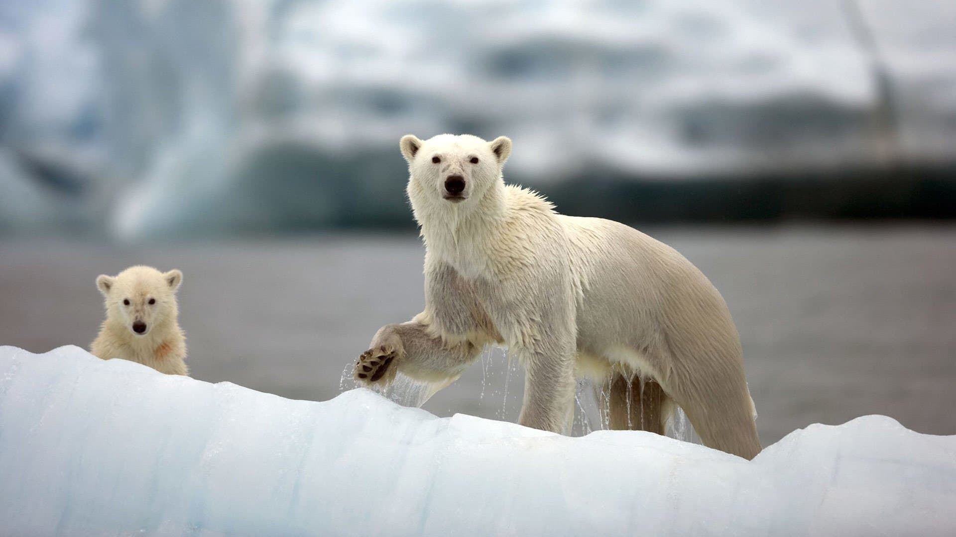 Grandes acontecimientos de la naturaleza