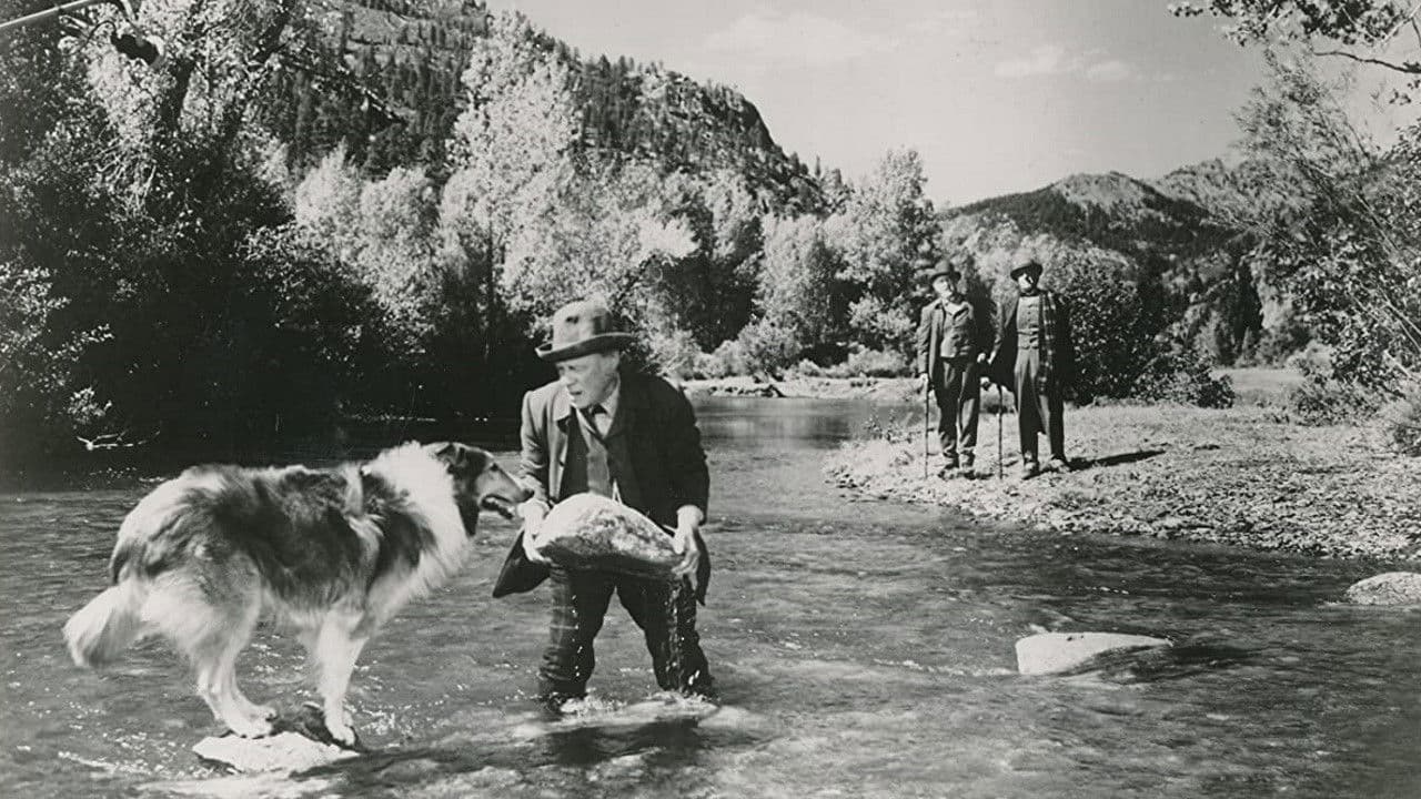 El mundo de Lassie