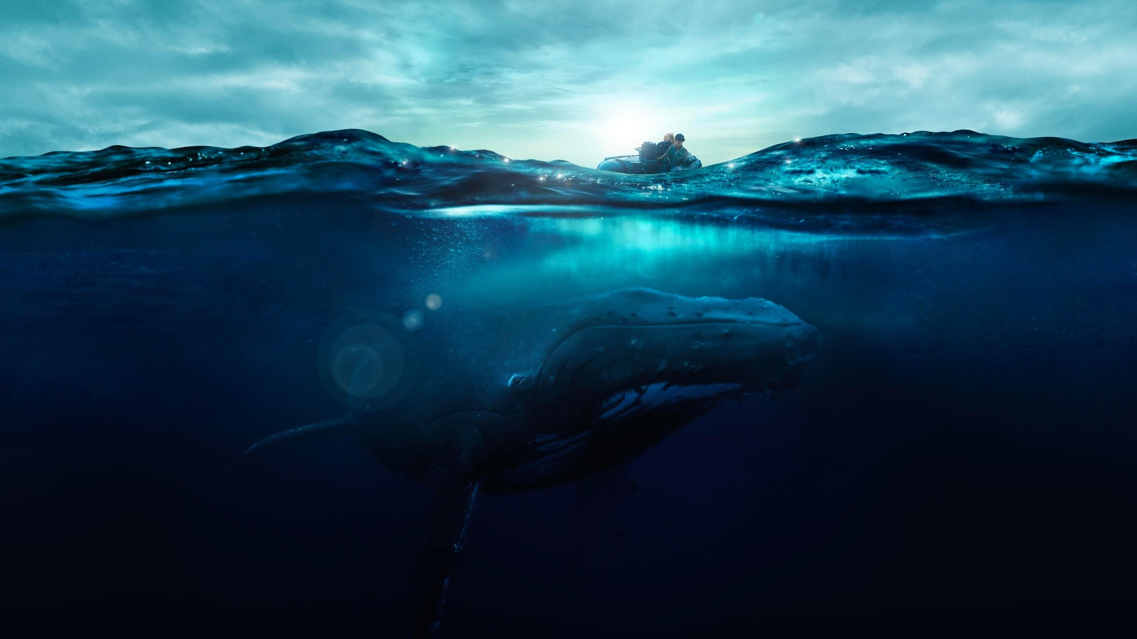 Fathom: Descifrando las profundidades