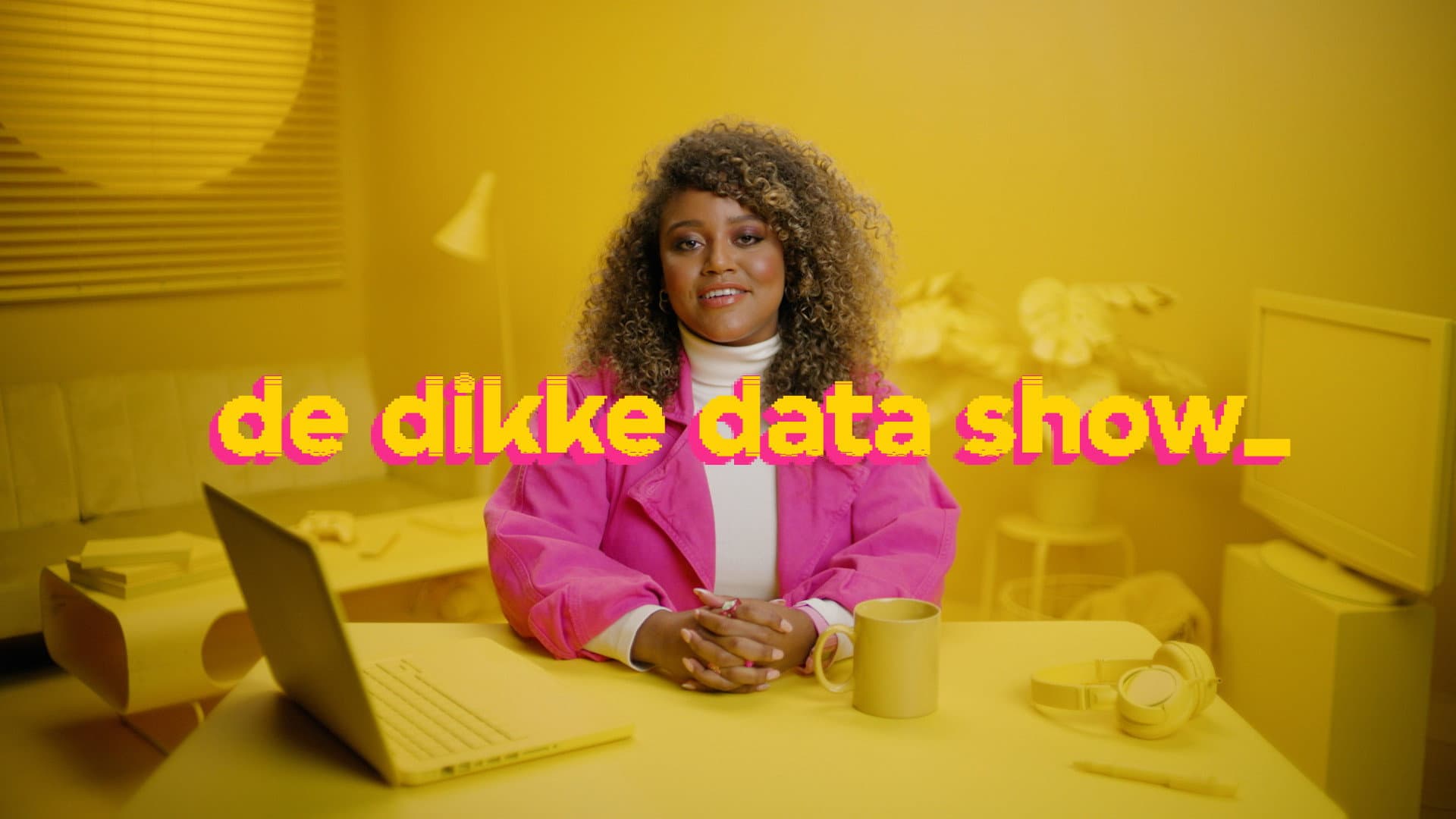 De Dikke Data Show